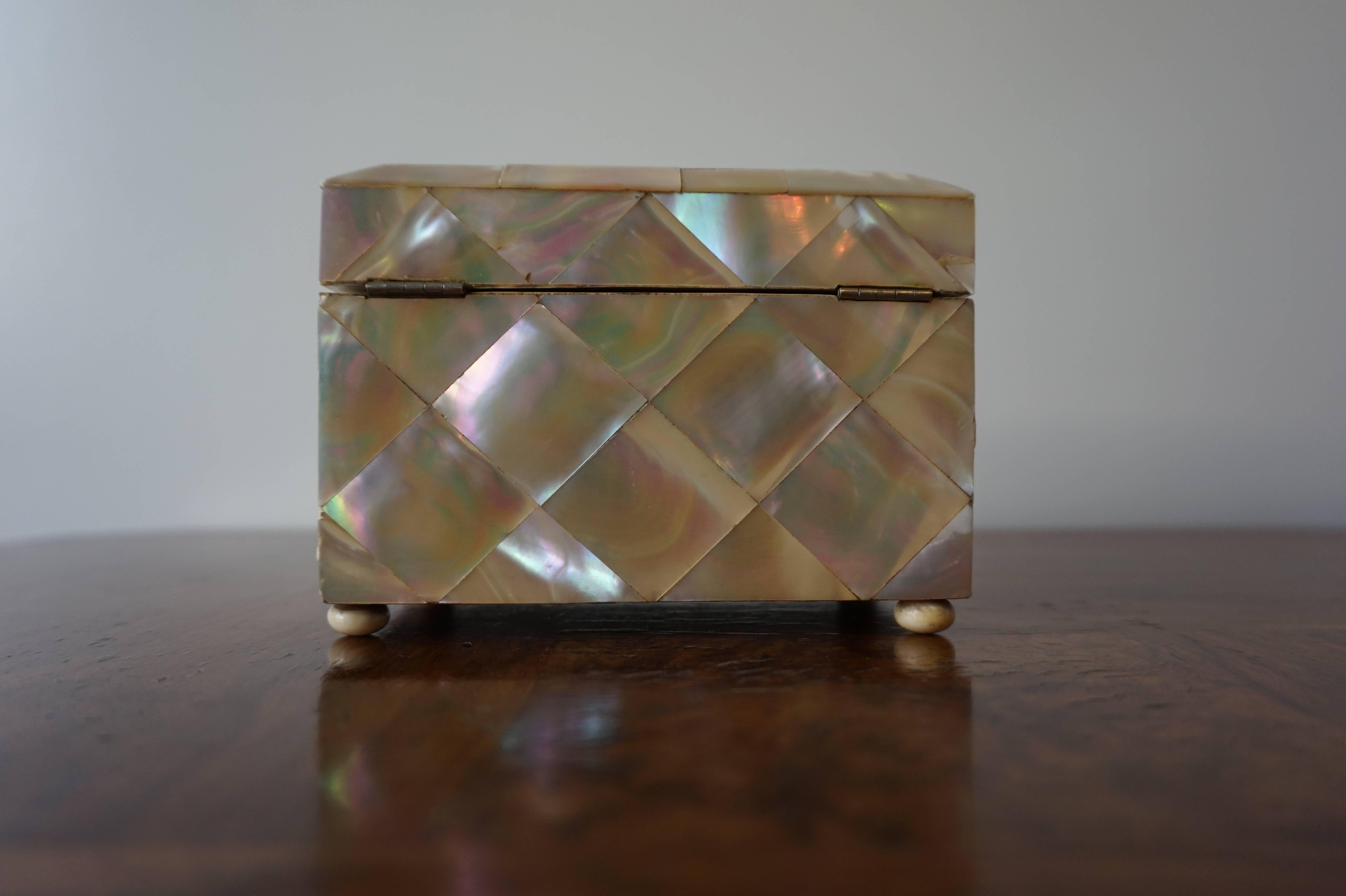 19th Century Antique Mother-of-Pearl Tea Caddy Box with Silver Lock & Hinges and Bone Feet