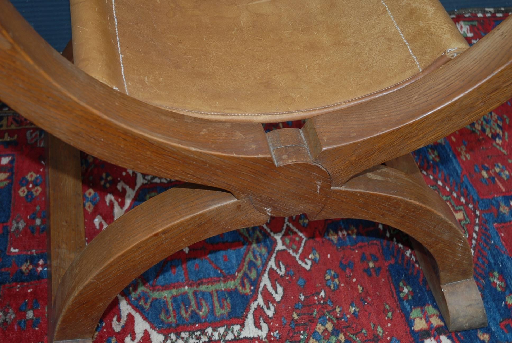 Seltenes Paar Dagobert-Sessel aus Eiche mit X-Rahmen und Ledersitz und Rückenlehne aus der Mitte des Jahrhunderts (20. Jahrhundert) im Angebot