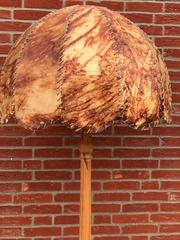 Stunning Hand Carved Antique Floor Lamp on Tripod Claw Feet with Leather Shade