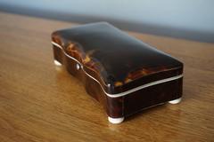 Late 19th Century Tortoise Shell and Ivory Spoon Box of Museum Quality