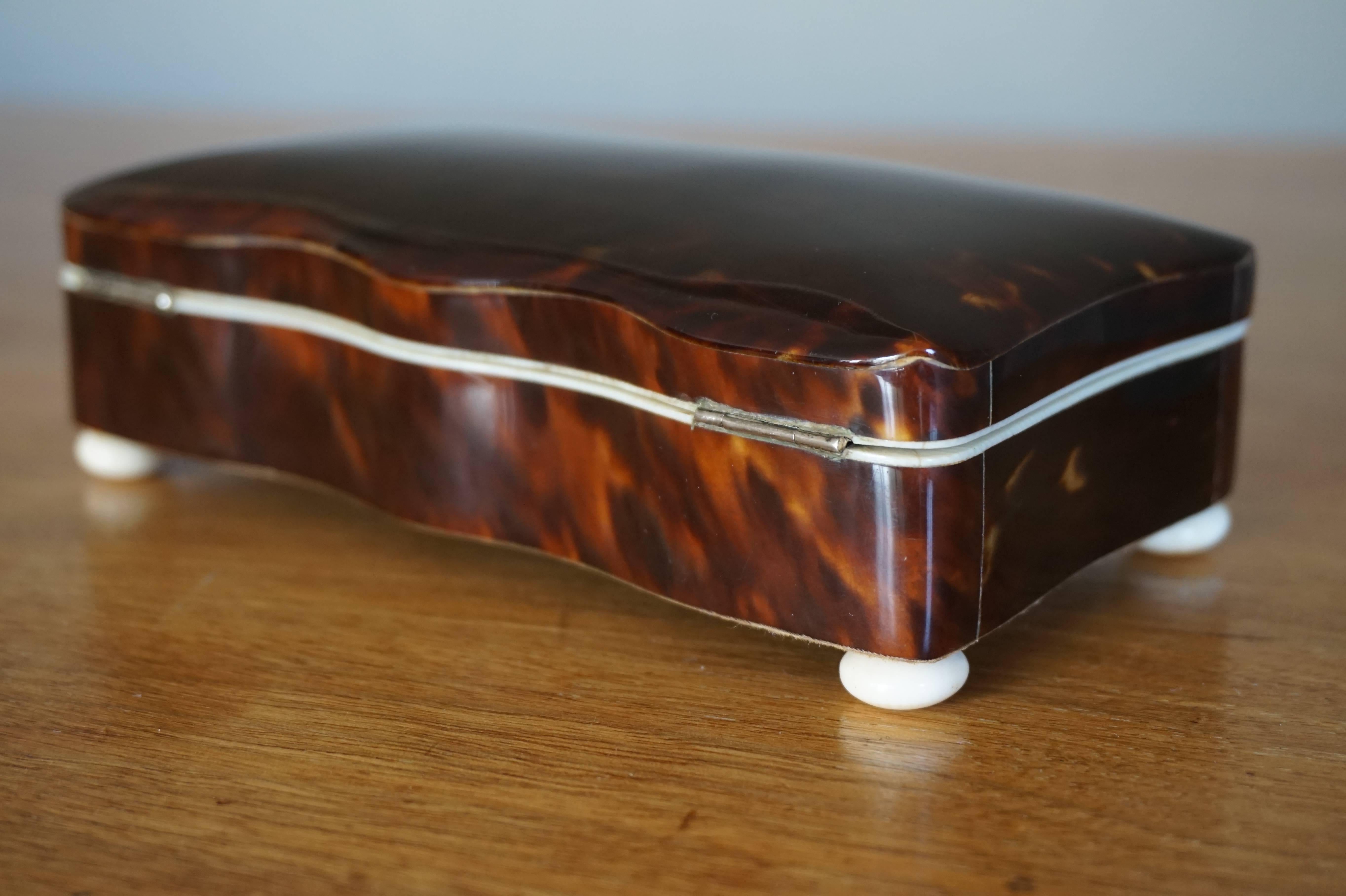 Late 19th Century Tortoise Shell and Ivory Spoon Box of Museum Quality 2