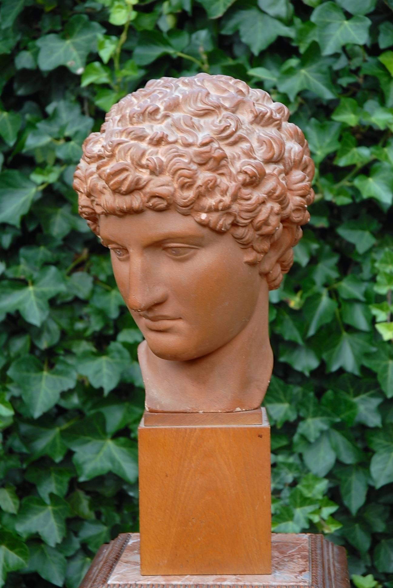 Rare and stunning Roman or Greek sculpture on a wooden base. 

Unfortunately we don't know which of the Roman or Greek Gods this is, but we think it is Hermes, the Greek god of trade, travel, writing, diplomacy and more. His fine and serene face and