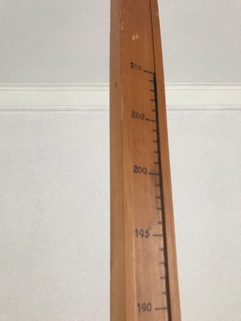 Rare and Cool 1930s Vintage Solid Beechwood Family Height Measuring ...