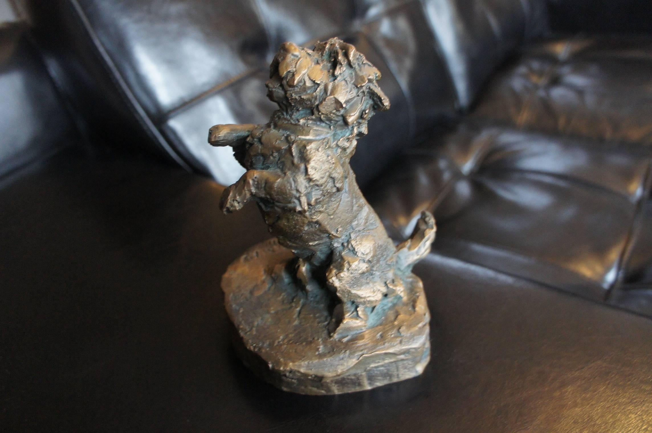 Unique and Hand-Crafted 20th Century Little Cairn Terriër Dog Bronze Sculpture In Excellent Condition In Lisse, NL