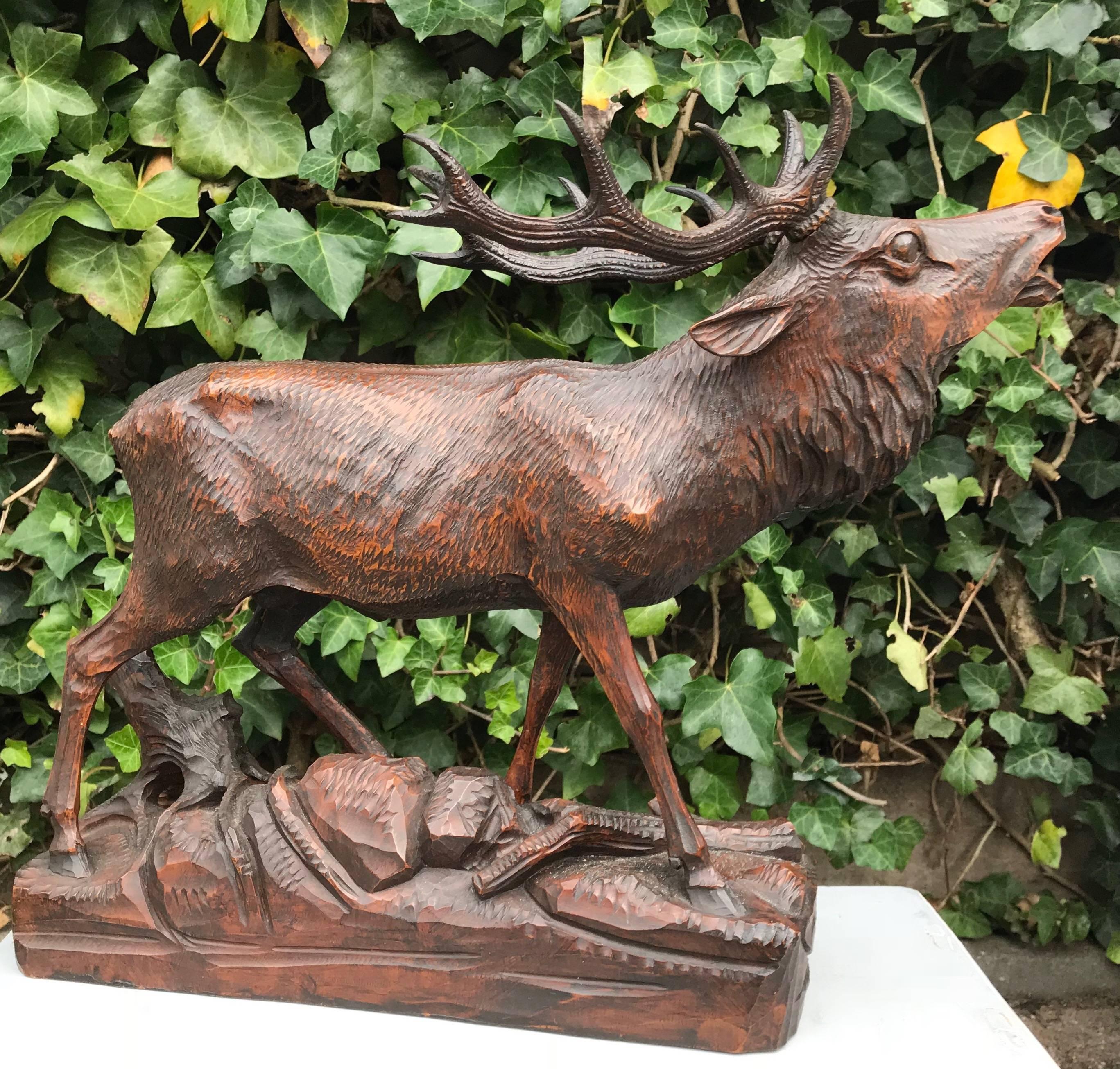 German Early 1900 Large Black Forest Fine Carved Burling Stag / Deer Sculpture Statue For Sale