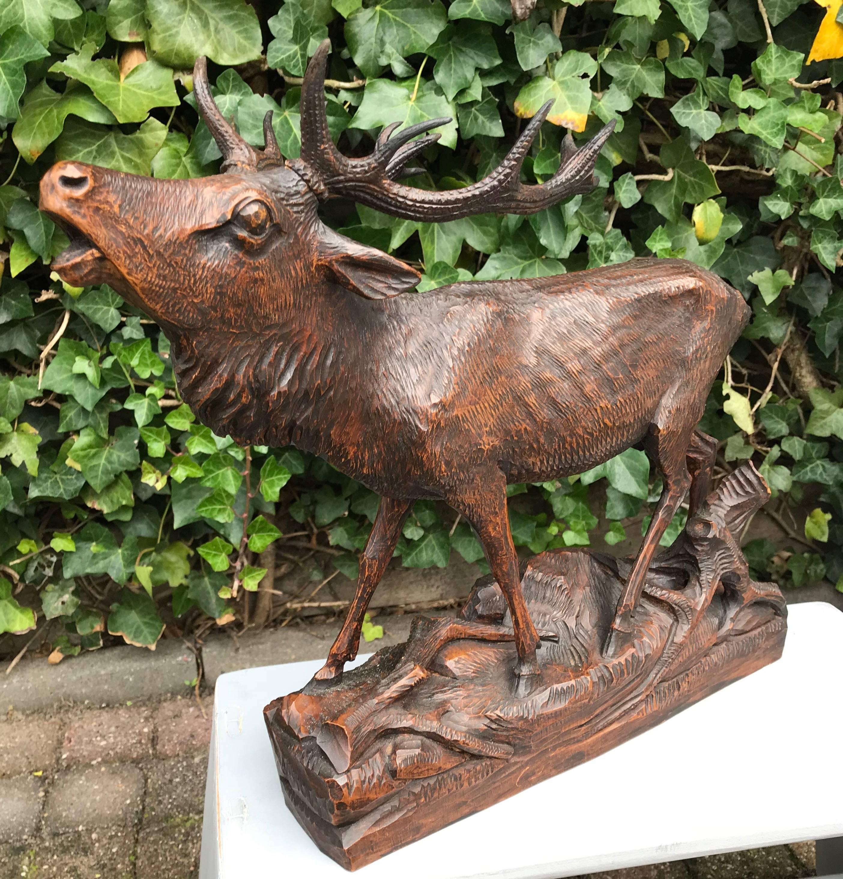 Early 1900 Large Black Forest Fine Carved Burling Stag / Deer Sculpture Statue In Excellent Condition For Sale In Lisse, NL