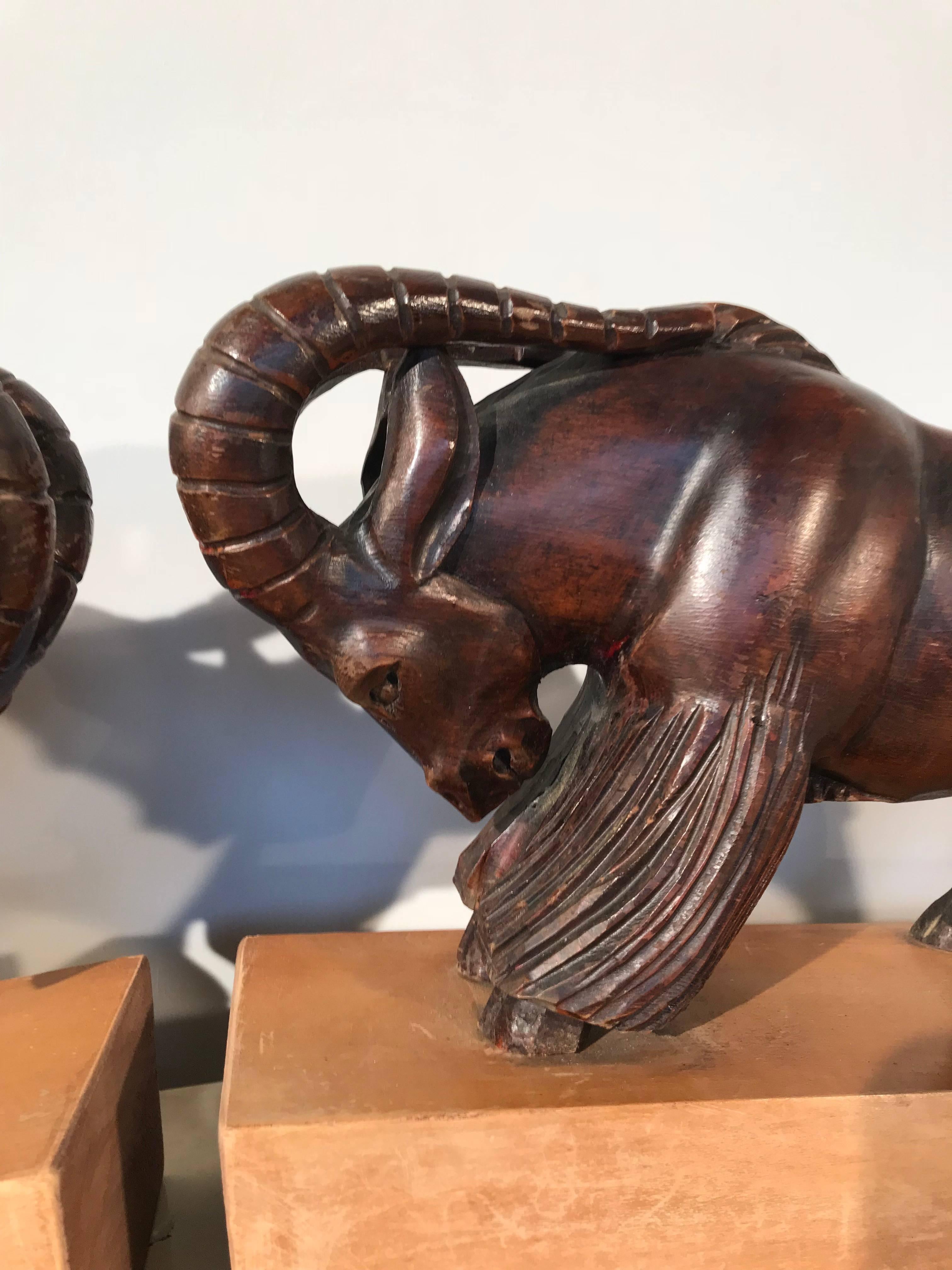 Sculpté à la main Grande et impressionnante paire de serre-livres en bois sculpté à la main en sculpture de bélier combattant en vente