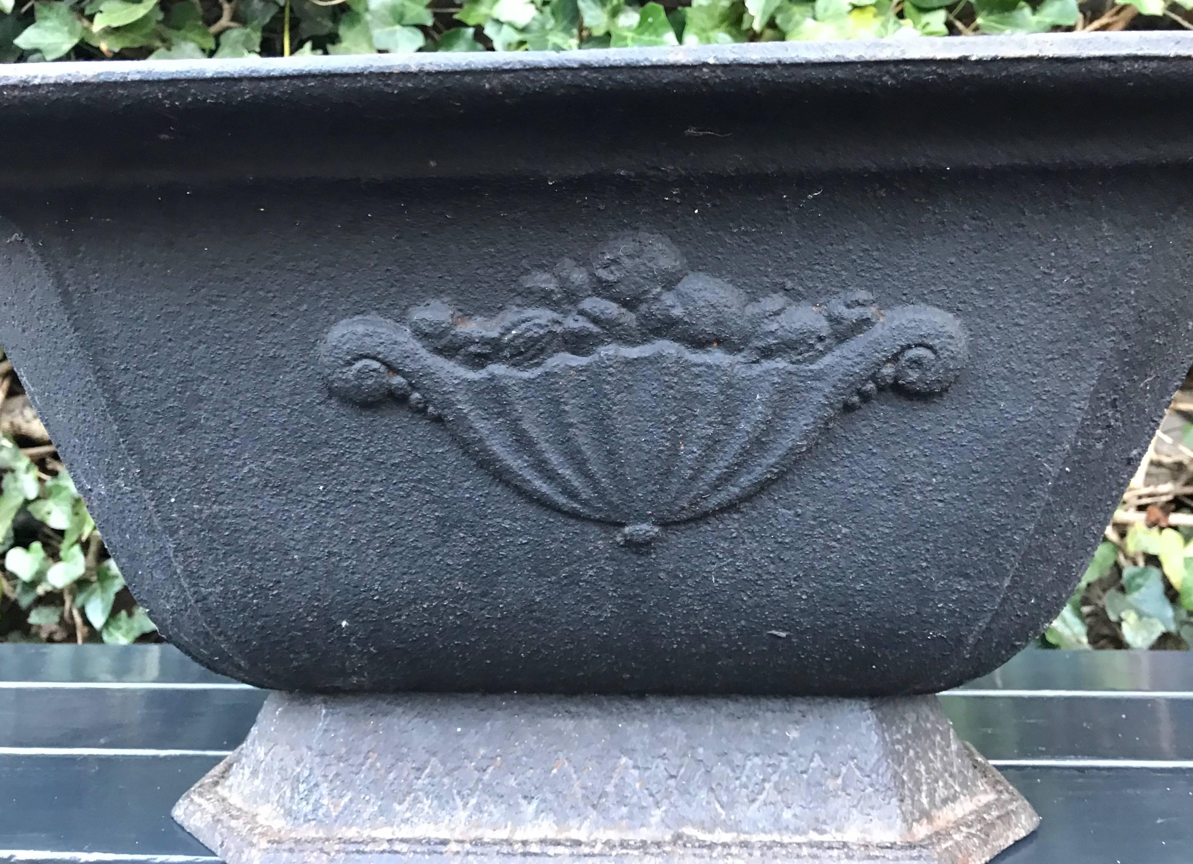 20th Century Vintage Large French Black Cast Iron Oval Shape Jardiniere or Planter For Sale