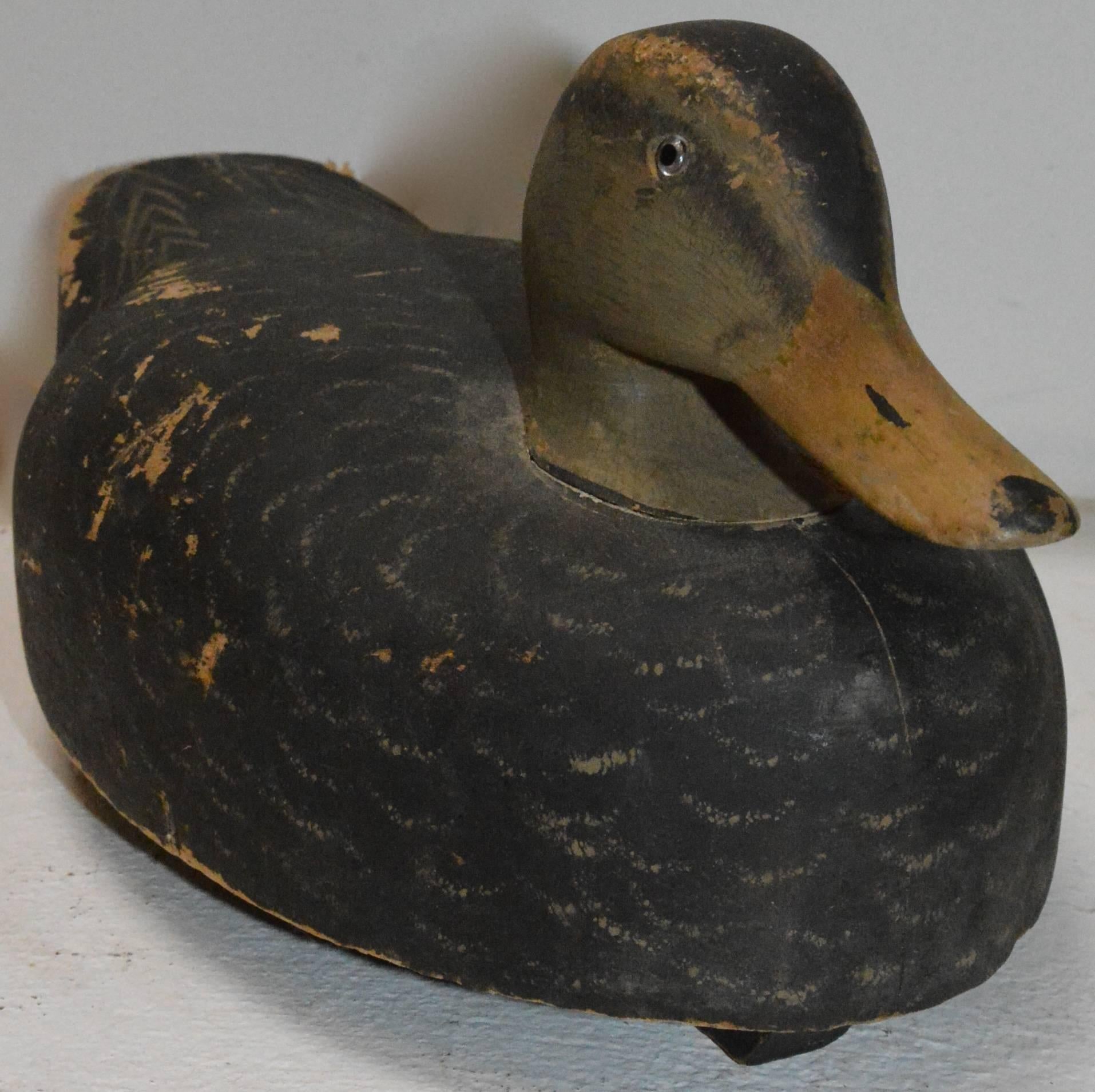 This aged wooden duck decoy is a perfect addition to your garden decor. The duck has distressed black paint on its body with a softer grey on its head. The decoy comes with the weight which is not attached. It has a strip of wood on the bottom of