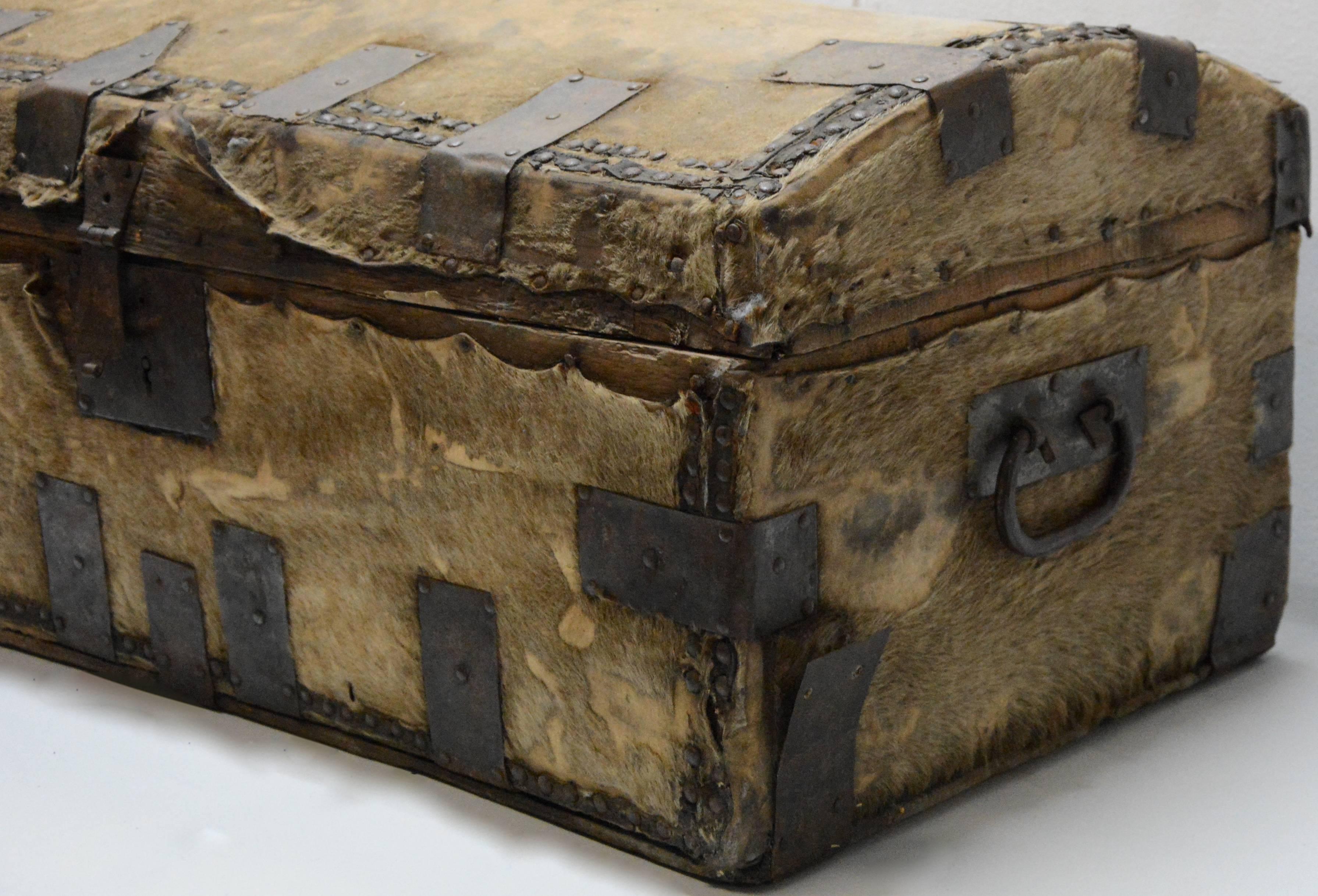 Hand-Crafted Spanish Colonial Hide Covered Trunk, 19th Century For Sale