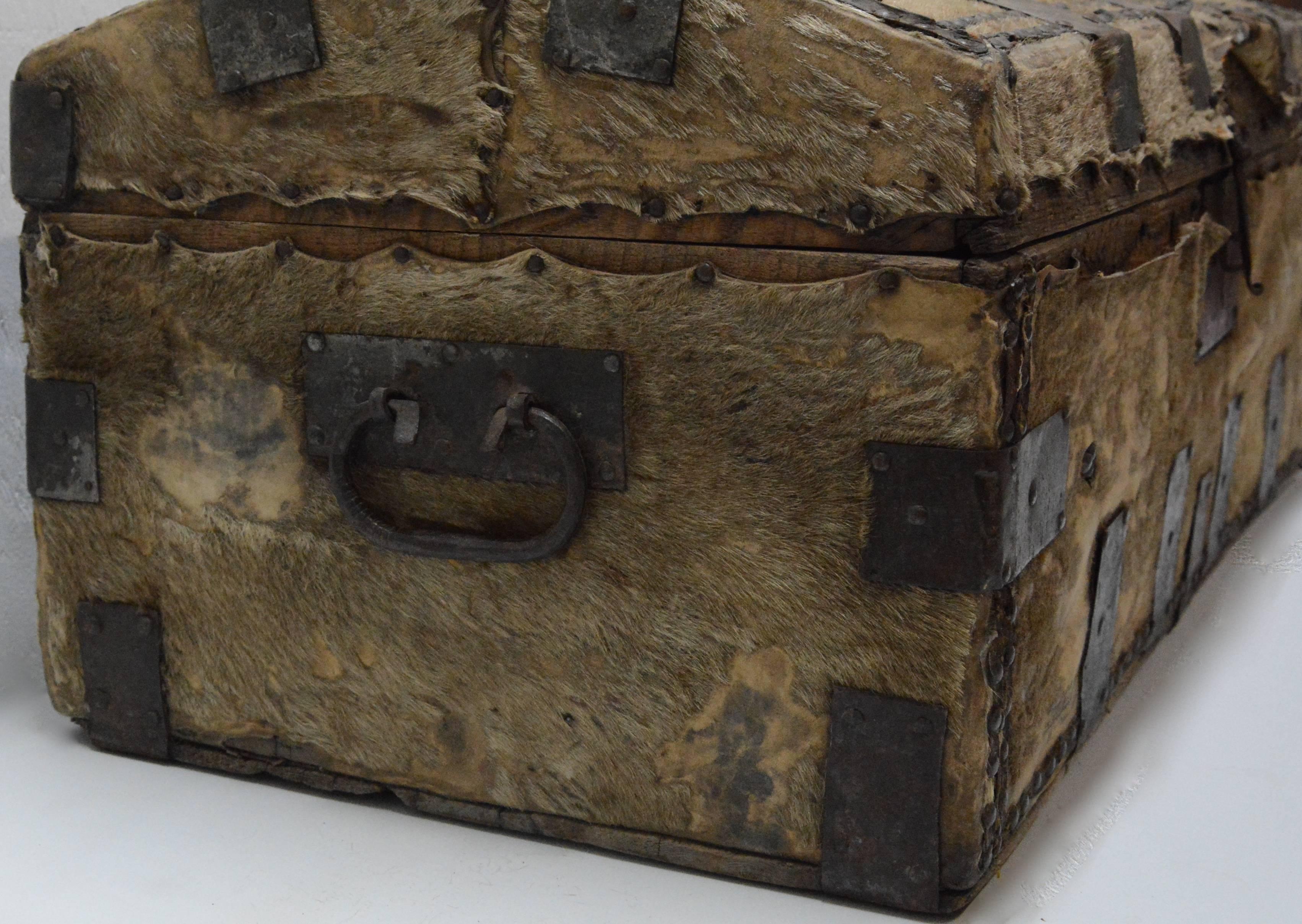 Spanish Colonial Hide Covered Trunk, 19th Century In Distressed Condition For Sale In Cookeville, TN