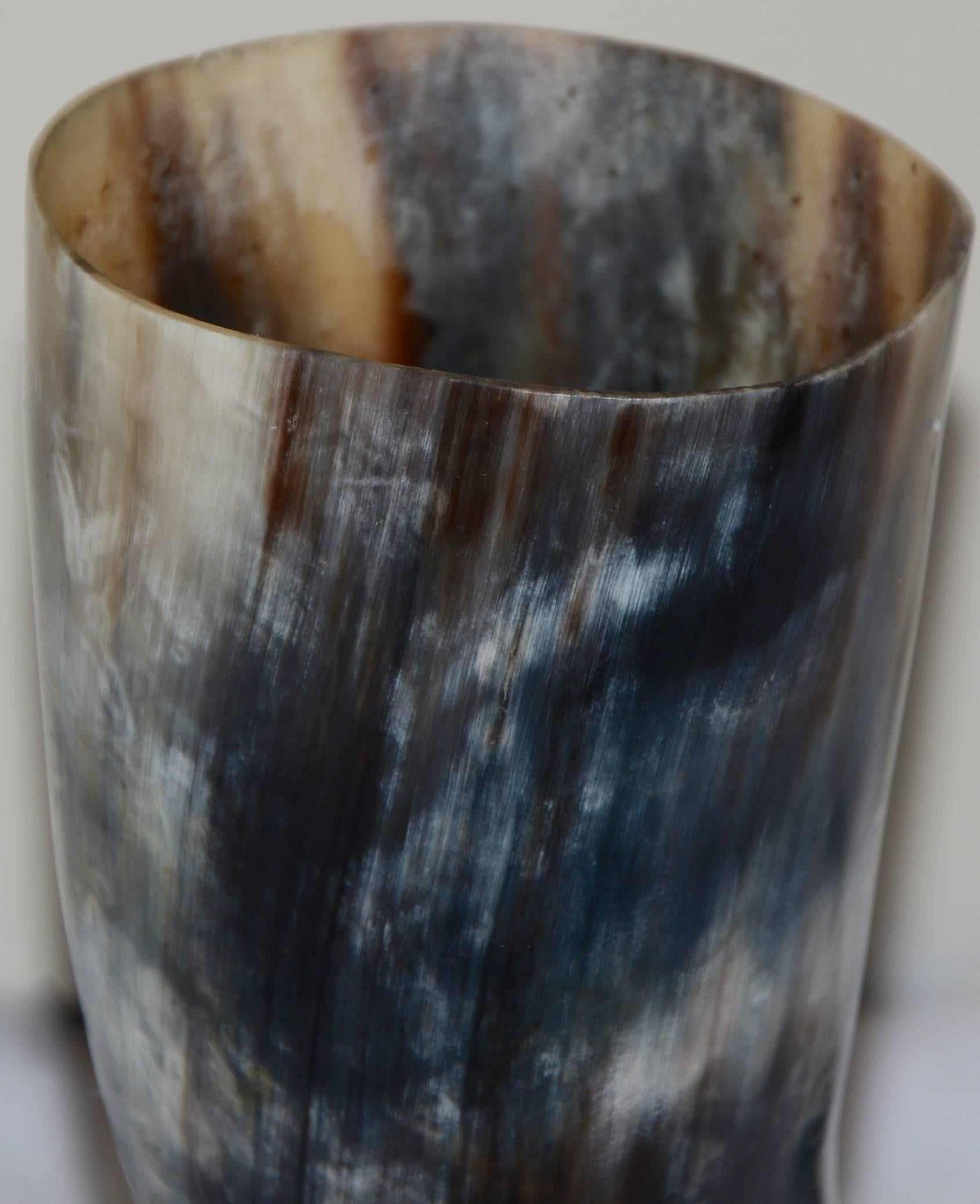 The colors in this buffalo horn show the true beauty of nature. The black horn from a buffalo displays striations of black, brown and white throughout the horn. The horn is presented on a silver finish metal hook which will look fabulous displayed