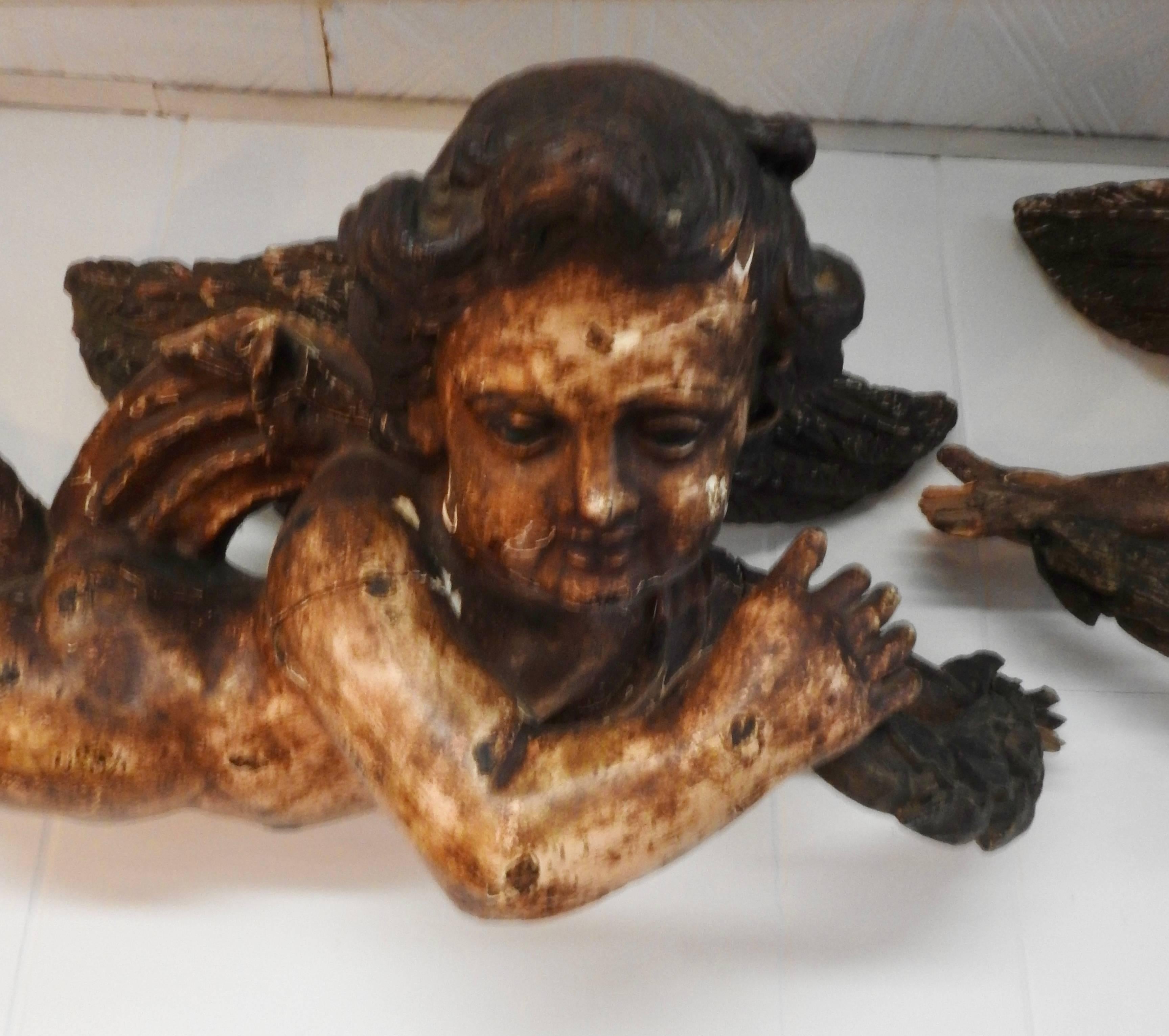 Featured are outstanding flying cherubs made of polychromed wood to grace your wall. The have a gorgeous patina with some chipping due to age. The were made in the 17th century in France.