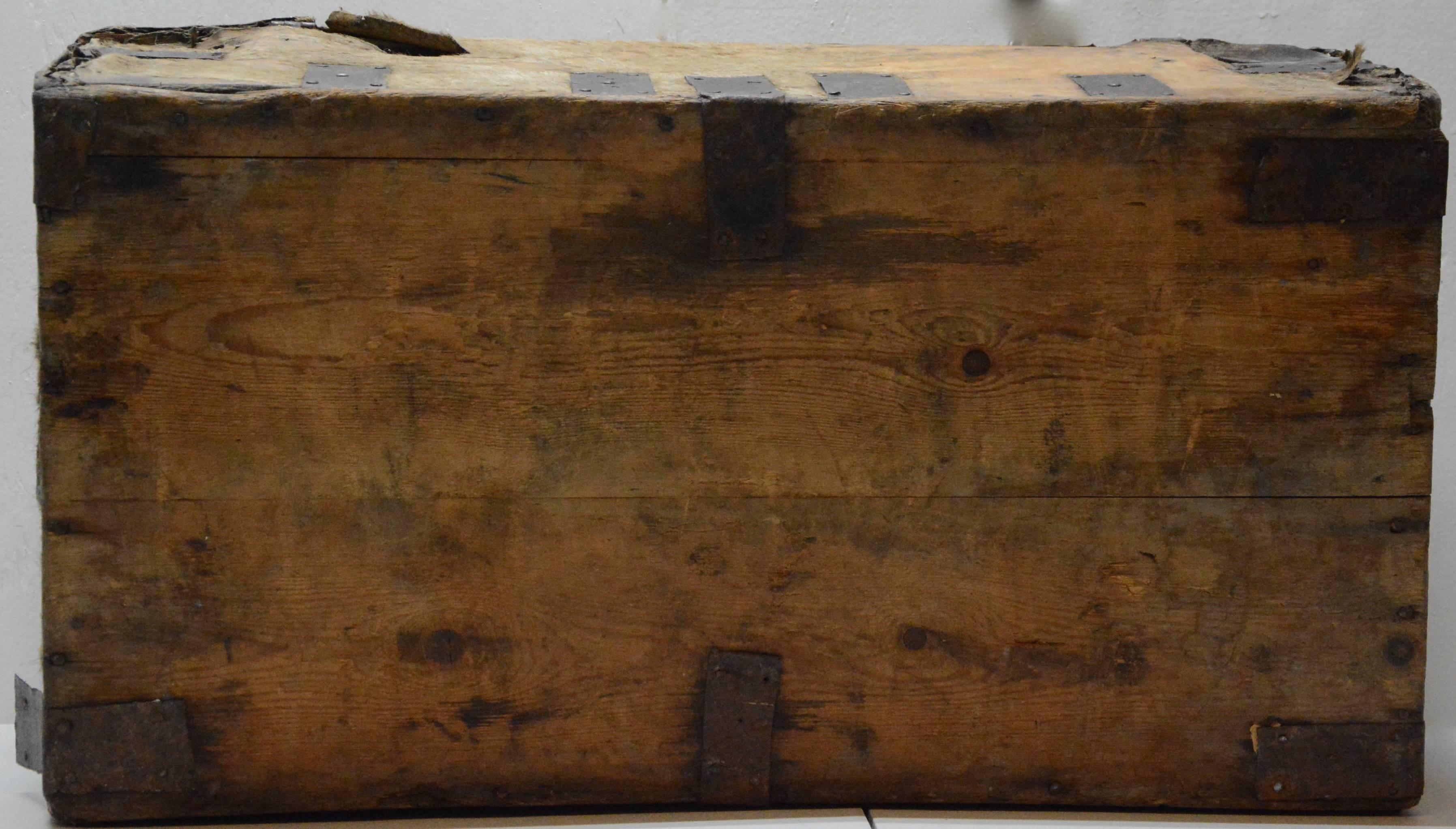 Spanish Colonial Hide Covered Trunk, 19th Century For Sale 4
