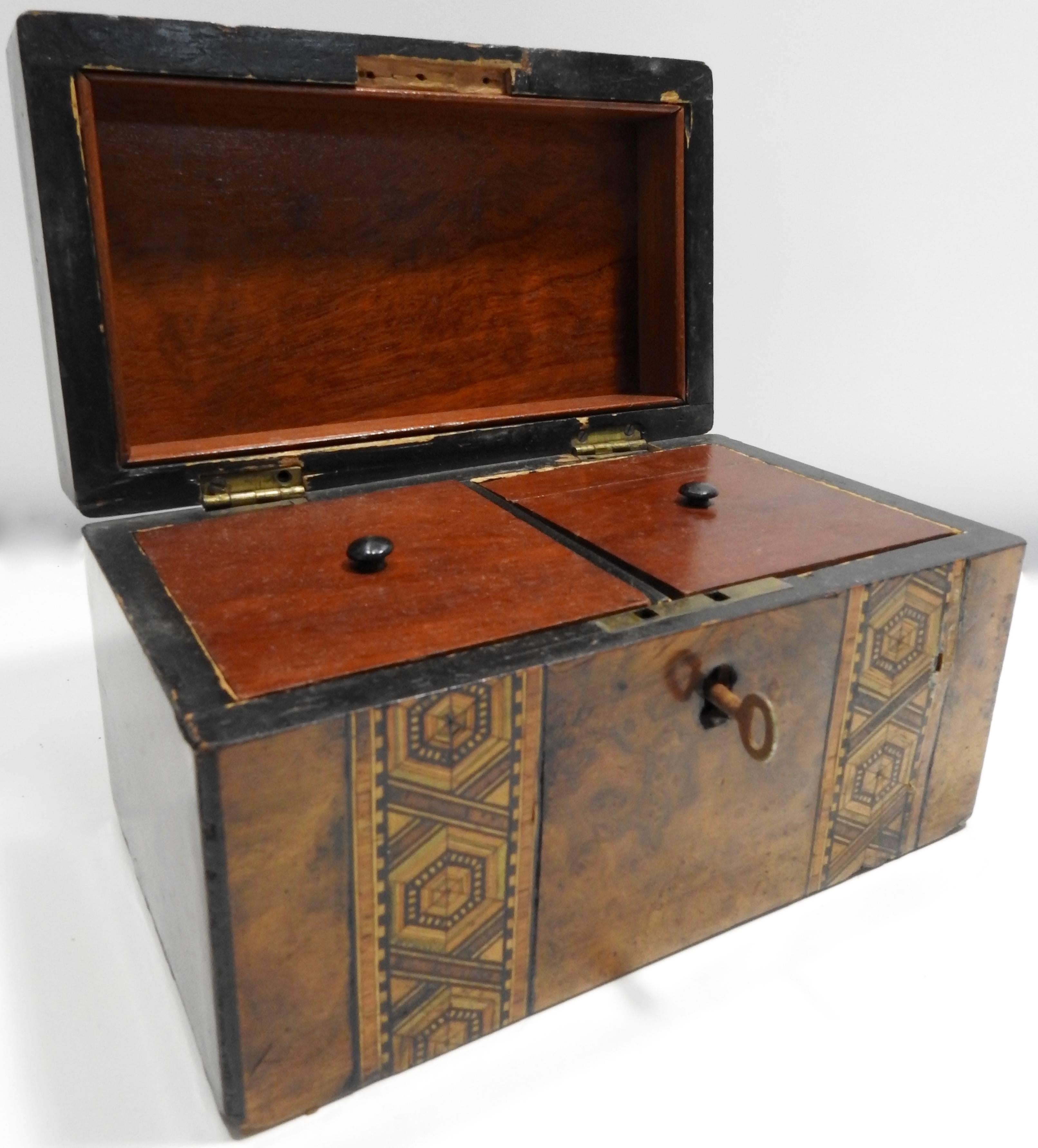 British English Tunbridge Walnut Tea Caddy, 19th Century For Sale