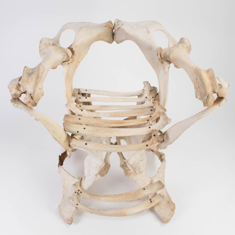 Bone Chair, Second Half of the 20th Century at 1stDibs