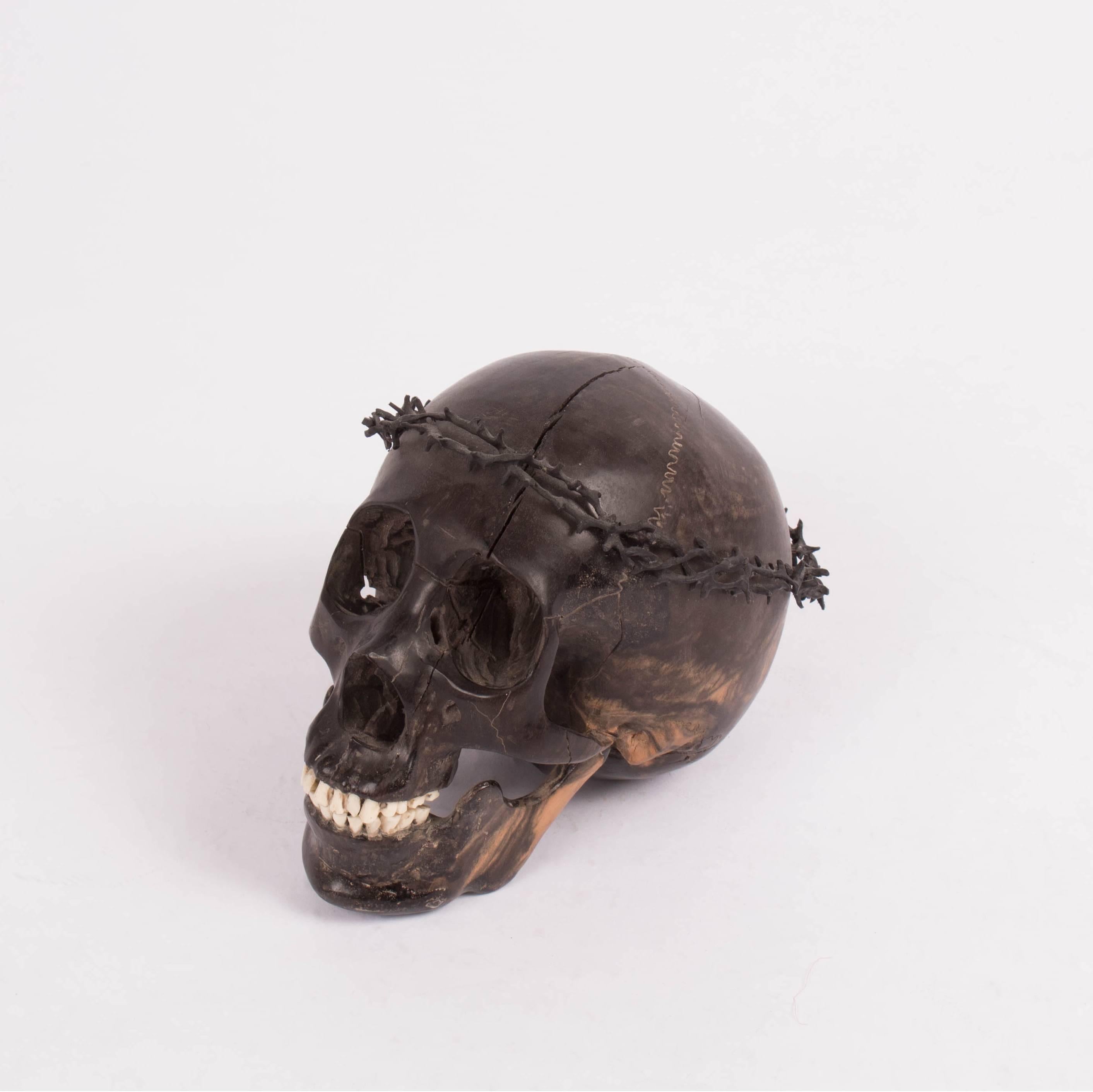 Carved iron wooden skull with deer Horn teeth and buffalo horn crown of thorns.