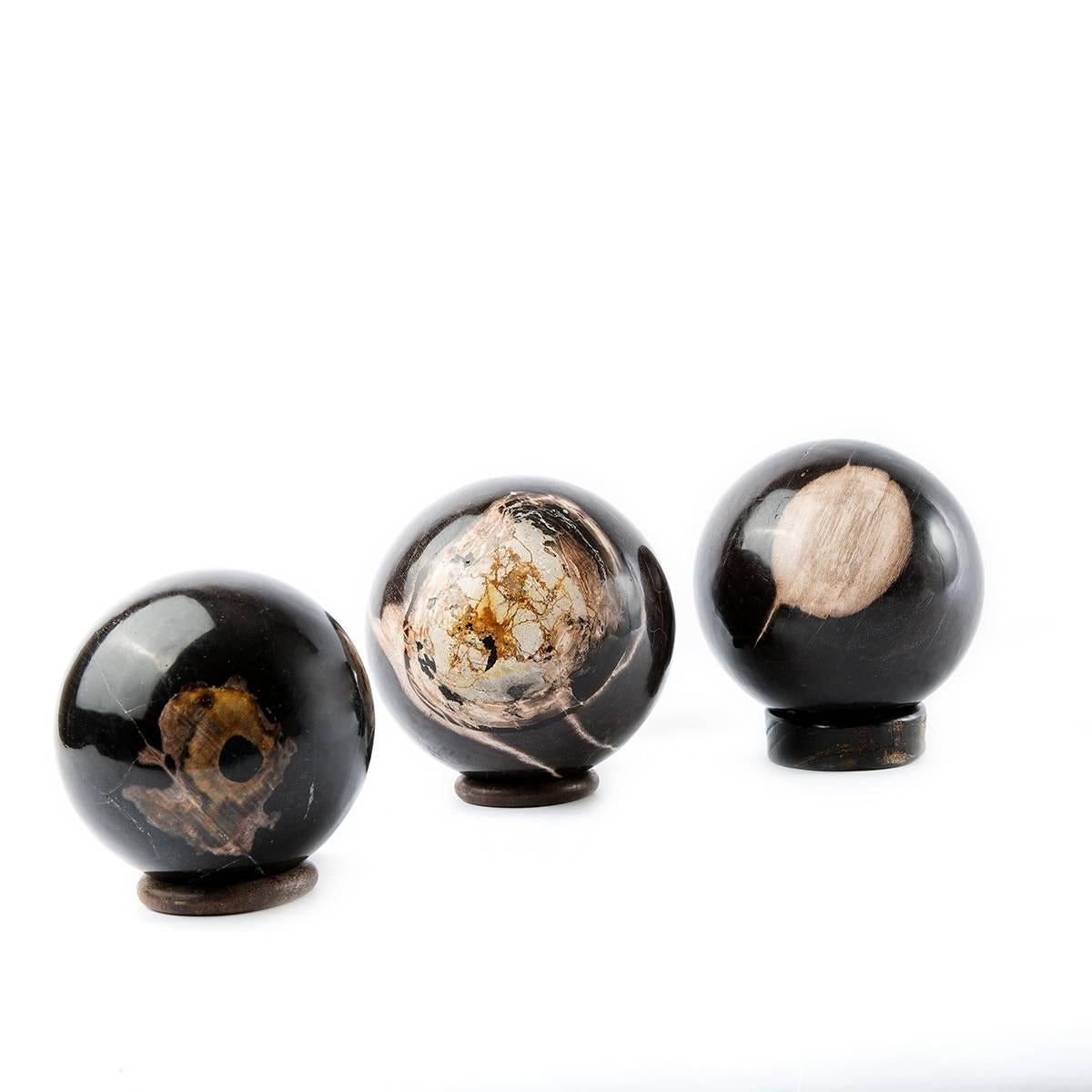Millions of years old petrified wood - hand-collected from the jungle of Sumatra, Indonesia and carefully polished to create these beautiful granite-like balls. A set can be a great decorative idea for your safari-inspired living room. It also fits