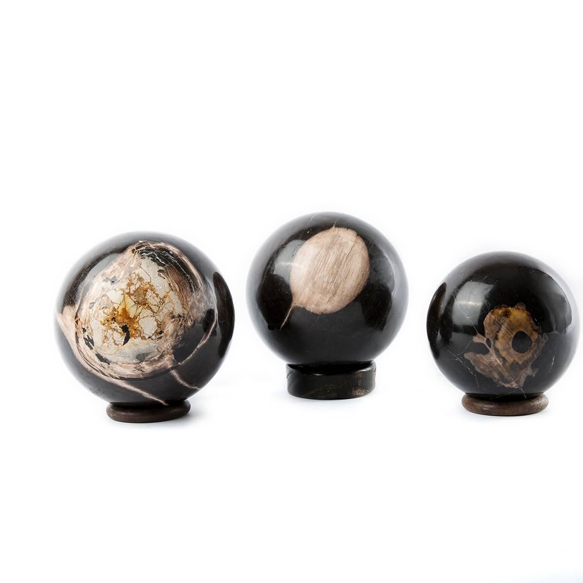 Organic Modern Petrified Wood Decorative Ball