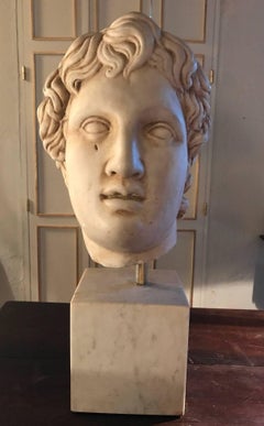 Marble Classical Head, Mid-20th Century