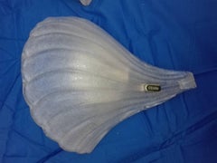 Three Barovier e Toso Wall Sconces in Murano