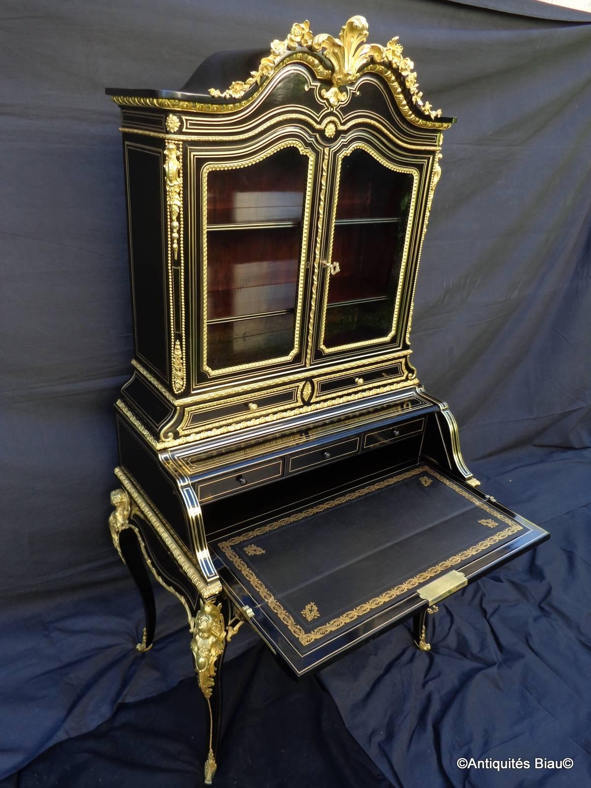 Napoleon III Wonderful Bookcase Desk Richly Bronzed in Brass Marquetry Napoleon 3 Period 19th