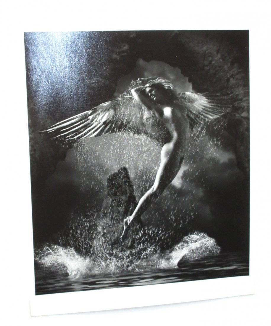 Framed Silver Print Photograph 'The Guardian' by James Porto, 2001 For Sale 2