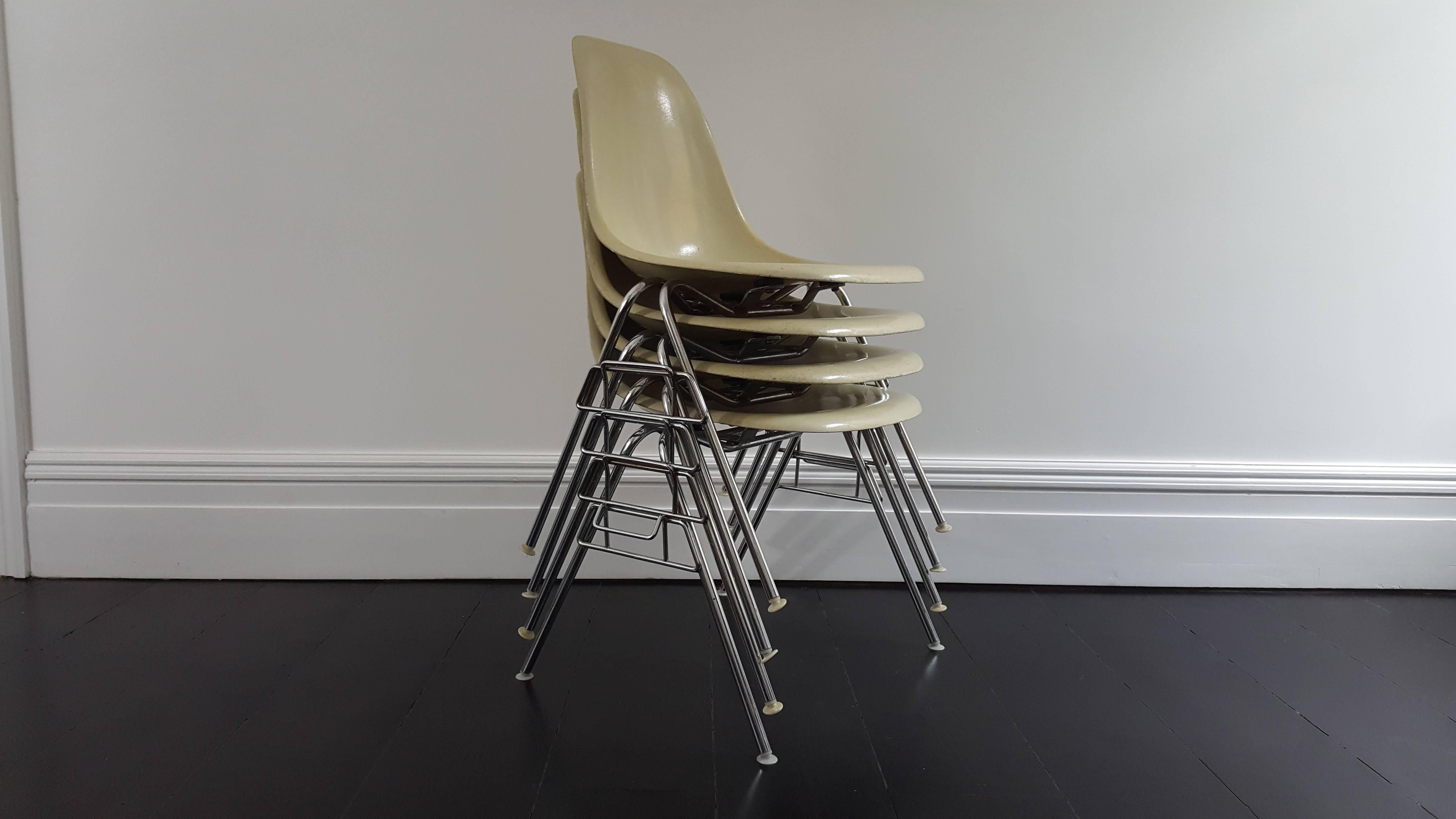 An iconic set of four parchment coloured fibreglass Charles and Ray Eames designed Herman Miller early Fehlbaum production DSX stacking chairs on chromed steel bases. 

Charles Ormond Eames, Jr, (June 17, 1907–August 21, 1978) was an American