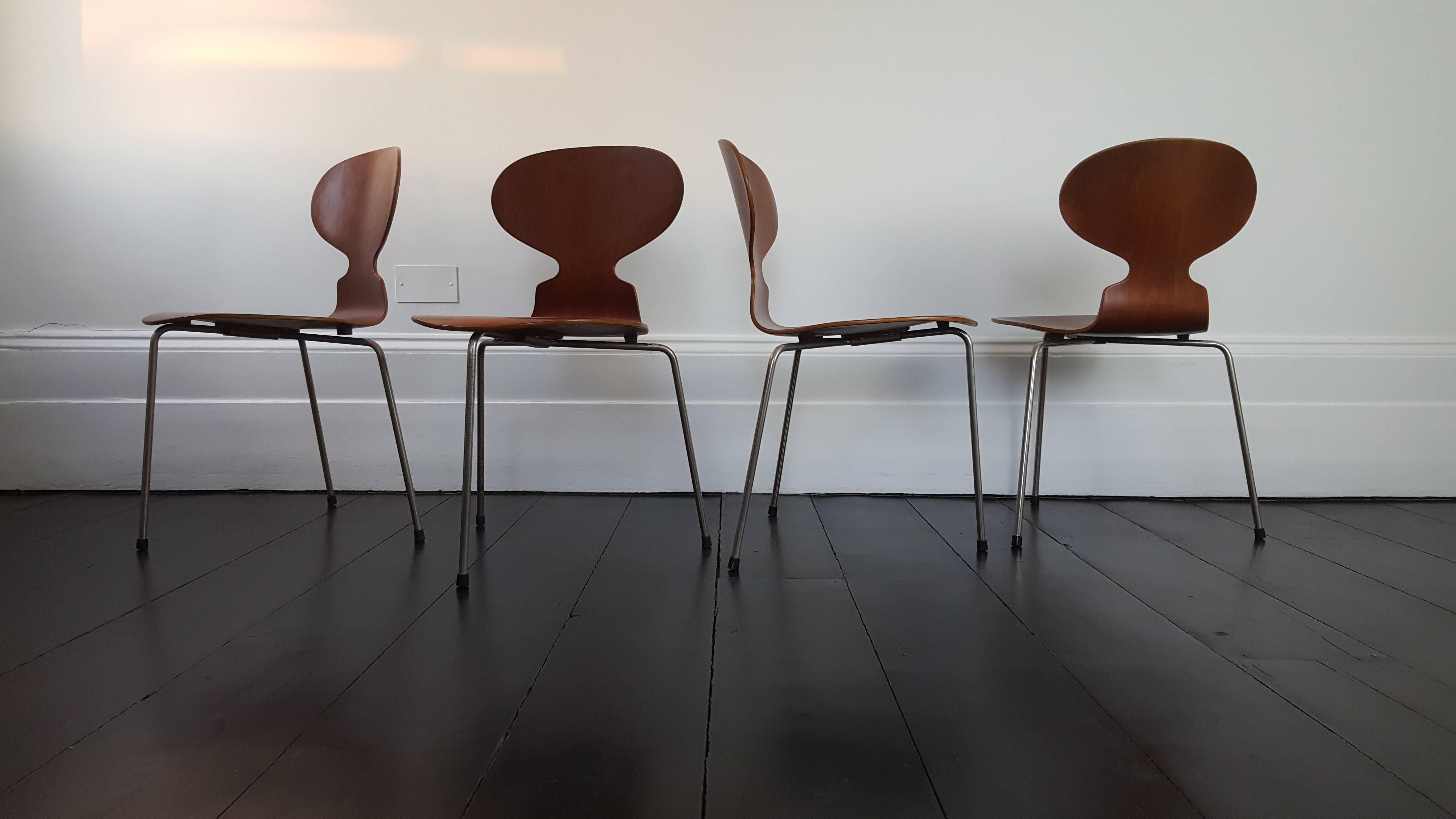 Danish Early Model 3100 'Ant' Chairs by Arne Jacobsen for Fritz Hansen, Designed 1952