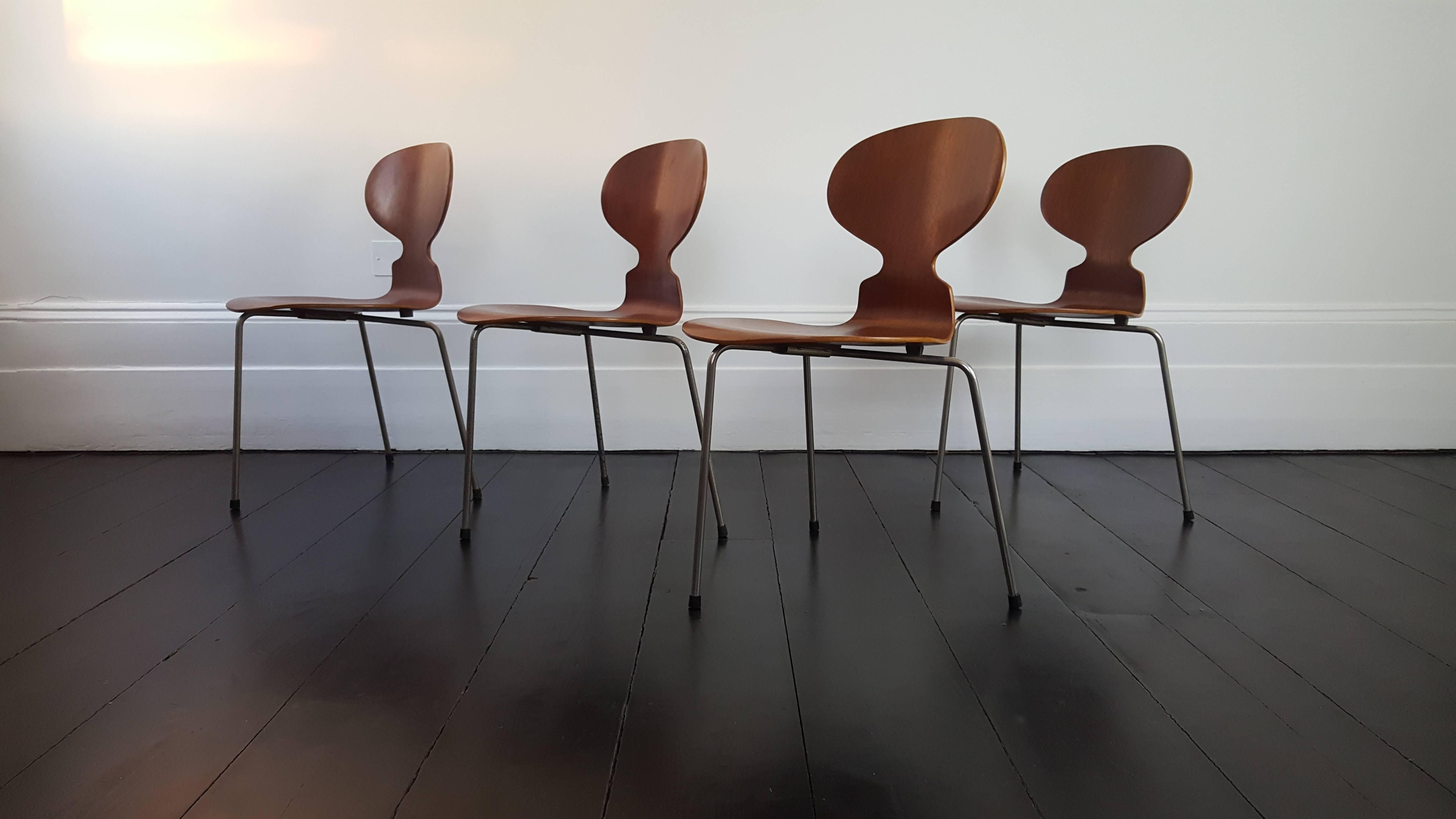 Iconic model 3100 'Ant' chair by Arne Jacobsen for Fritz Hansen.

The model 3100 'Ant' chairs were designed by Arne Jacobsen in 1952. Teak veneer seats on steel frame.

We provide very competitive global shipping rates per your requirements - please