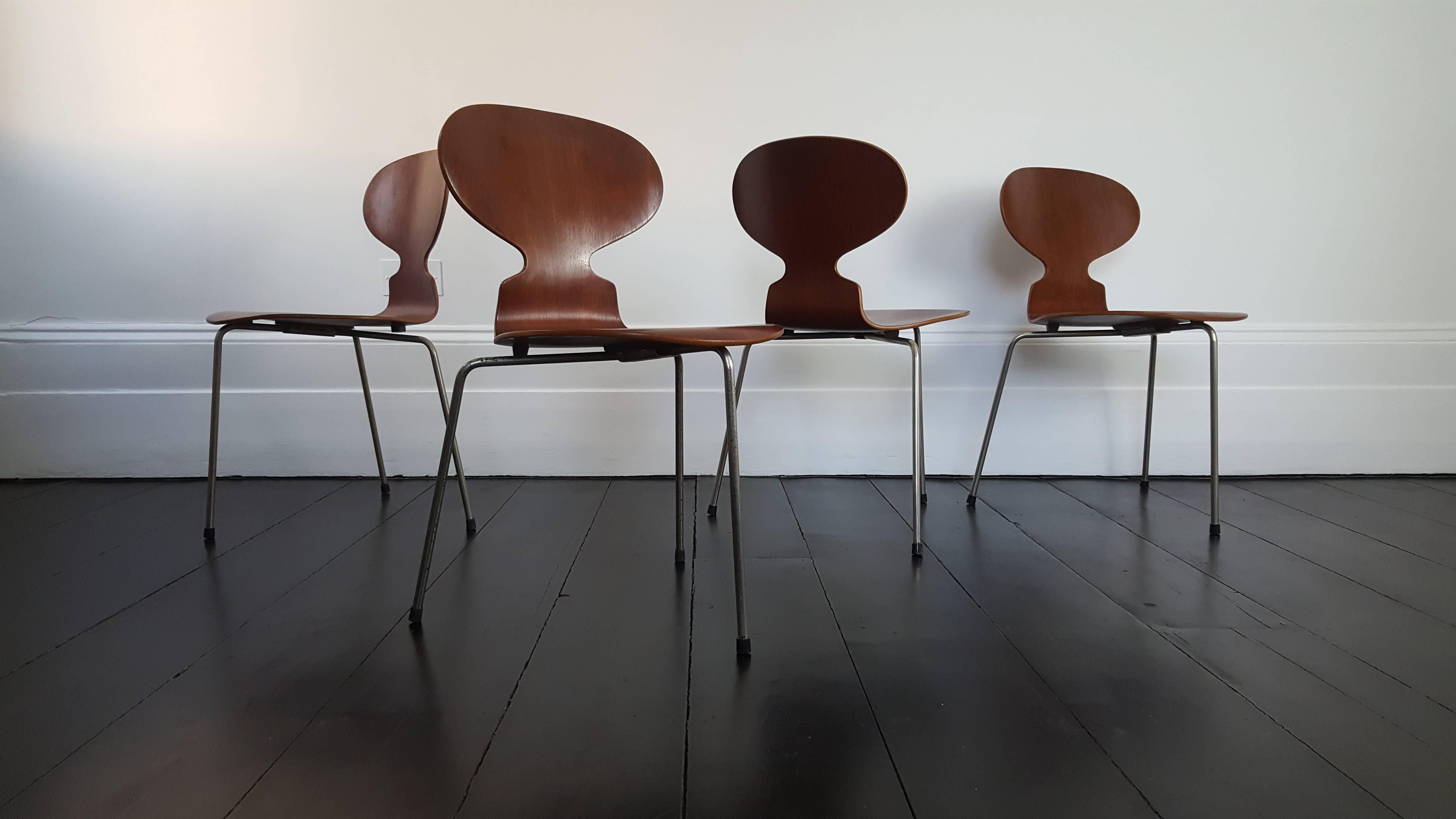 Early Model 3100 'Ant' Chairs by Arne Jacobsen for Fritz Hansen, Designed 1952 In Good Condition In London Road, Baldock, Hertfordshire