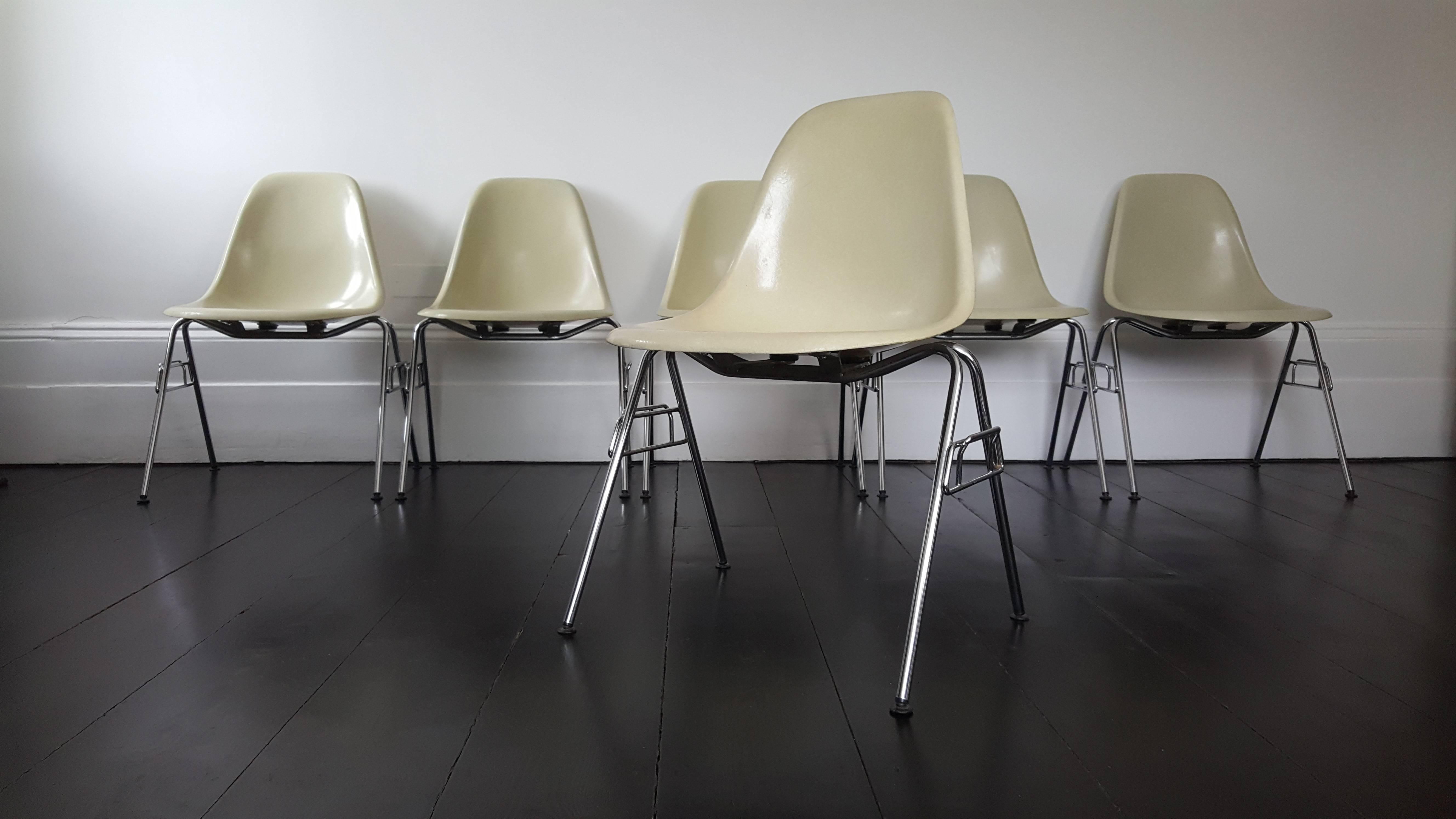 Parchment colored fibreglass Charles and Ray Eames designed Herman Miller DSS stacking chair on chromed steel bases for Herman Miller. 

Condition: Generally good, some wear but all commensurate, very light corrosion in areas on bases, some