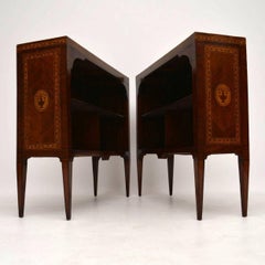 Pair of Antique Swedish Inlaid Rosewood Bookcases