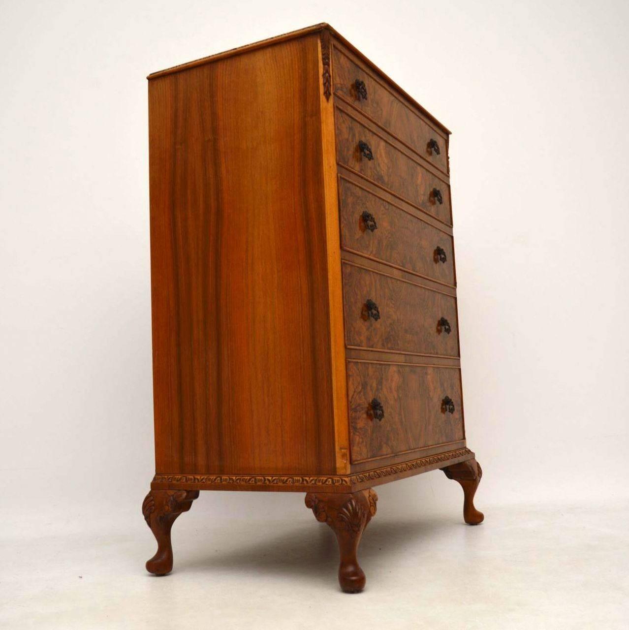 Early 20th Century Antique Burr Walnut Queen Anne Style Chest of Drawers
