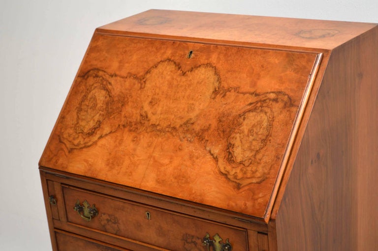 Antique Burr Walnut Writing Bureau