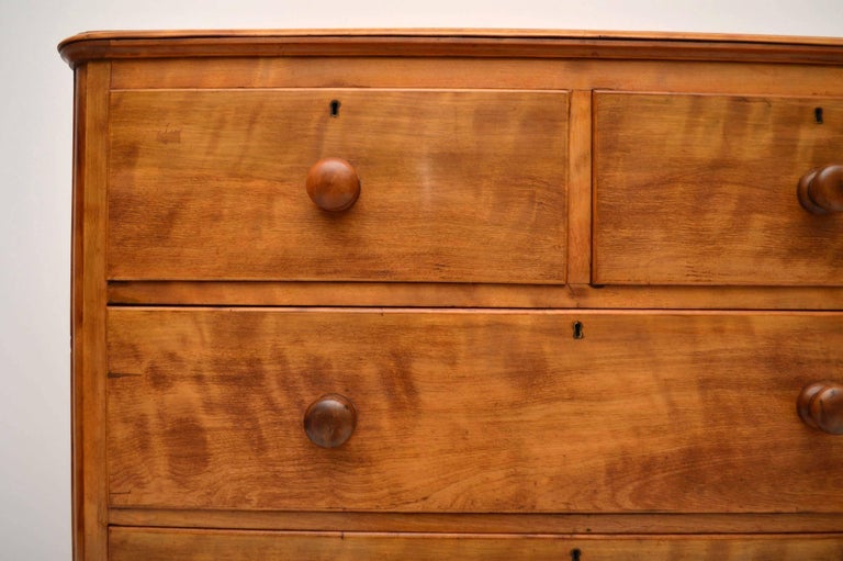 Large Antique Victorian Satin Birch Chest Of Drawers For Sale At