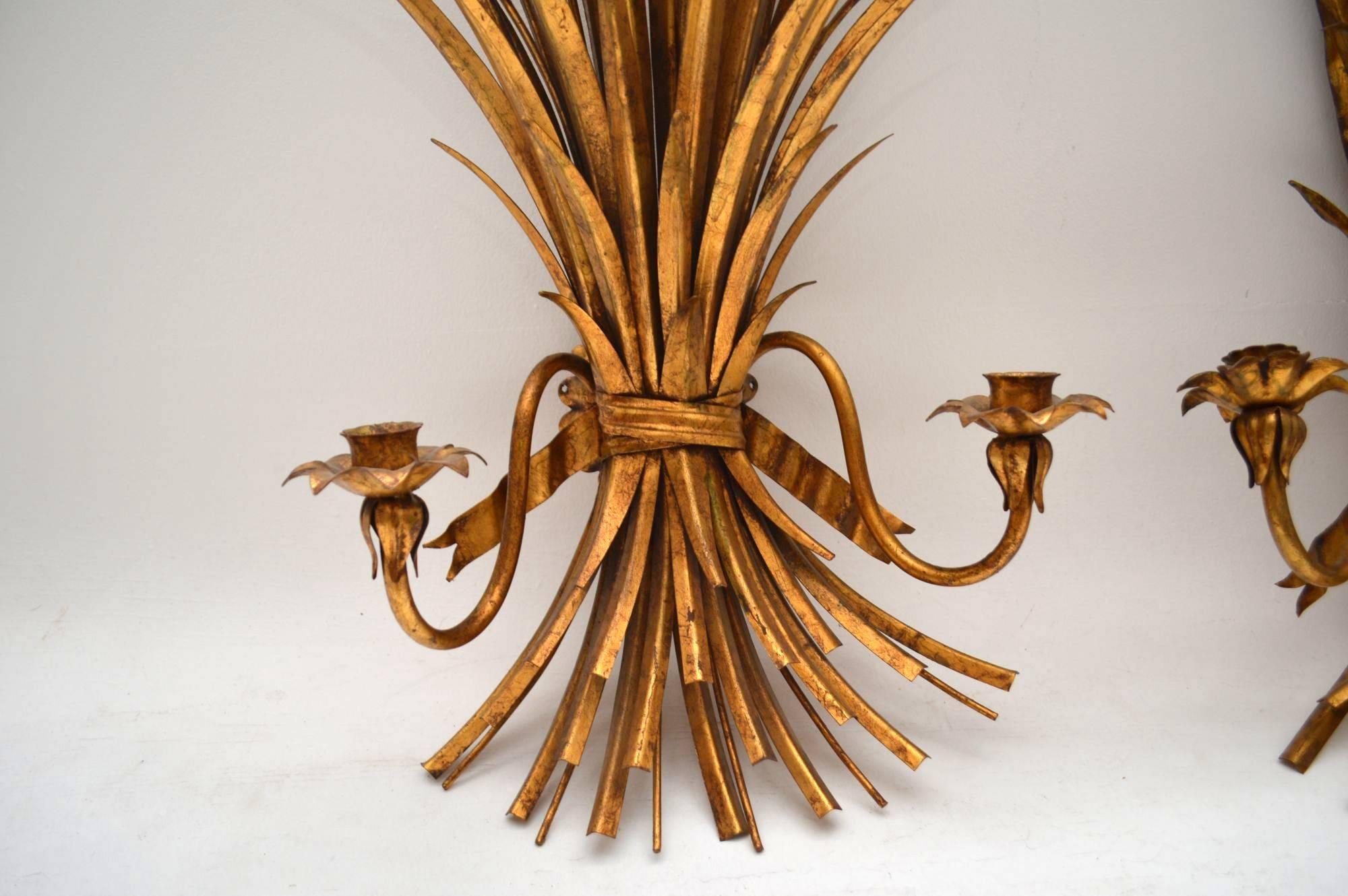 Pair of large original 1950s Italian gilt wheat sheaf wall sconces in good original condition. It’s quite rare to find them this large and in such good condition. The are basically gold leaf on wrought iron or what is commonly known as Tole