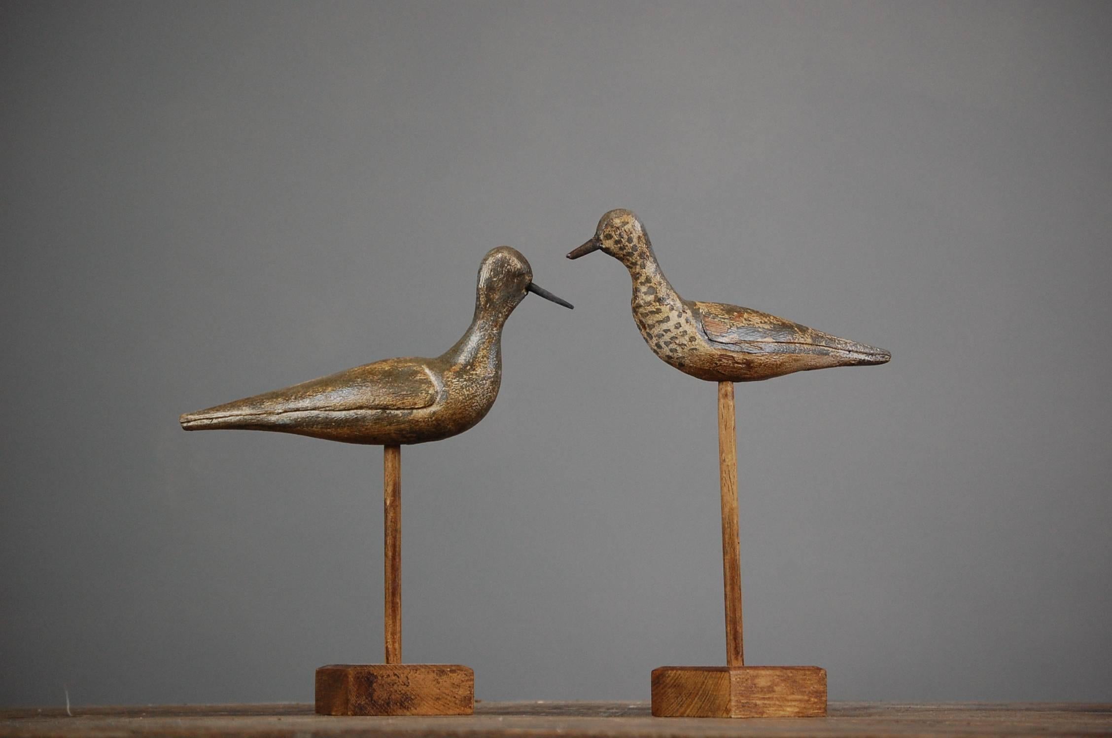 Wonderful pair of early 20th century carved wood sandpiper decoys in original paint, originating from Norfolk (UK). Later timber stands. One has had a replacement beak at some stage.