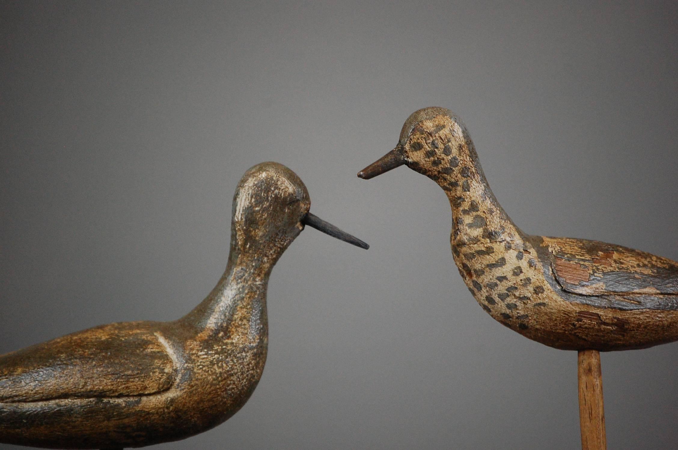 English Pair of Early 20th Century Sandpiper Decoys