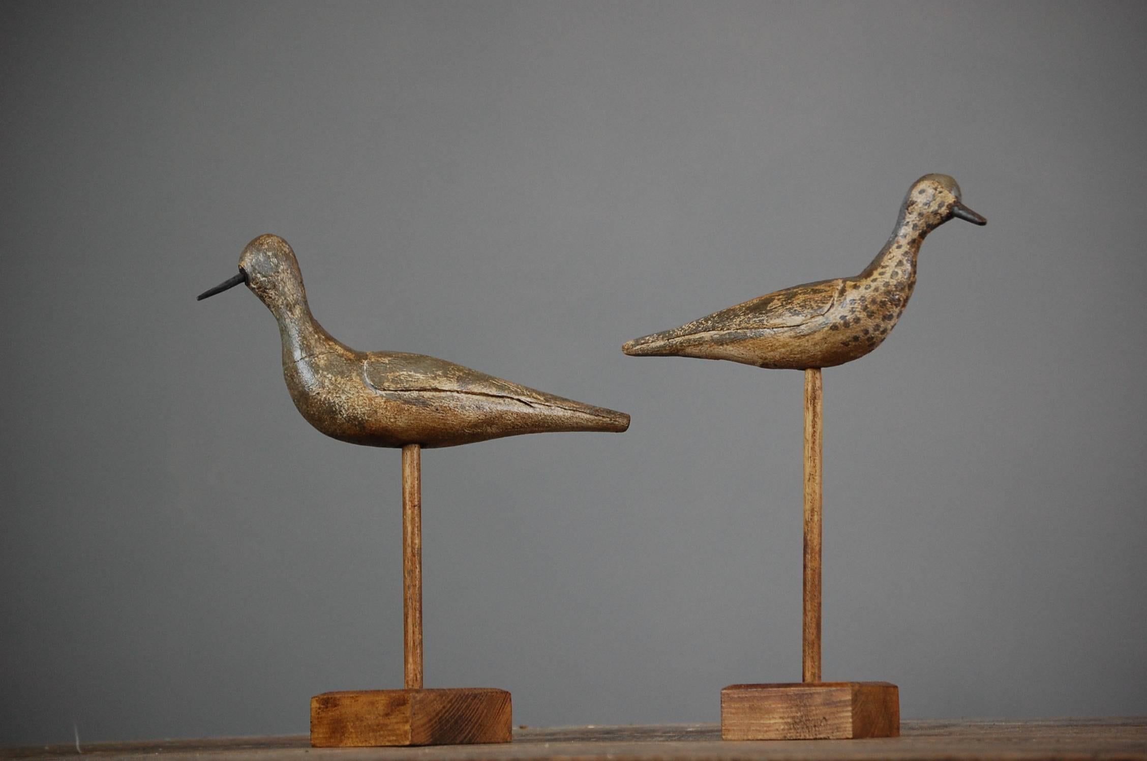 Pair of Early 20th Century Sandpiper Decoys 1