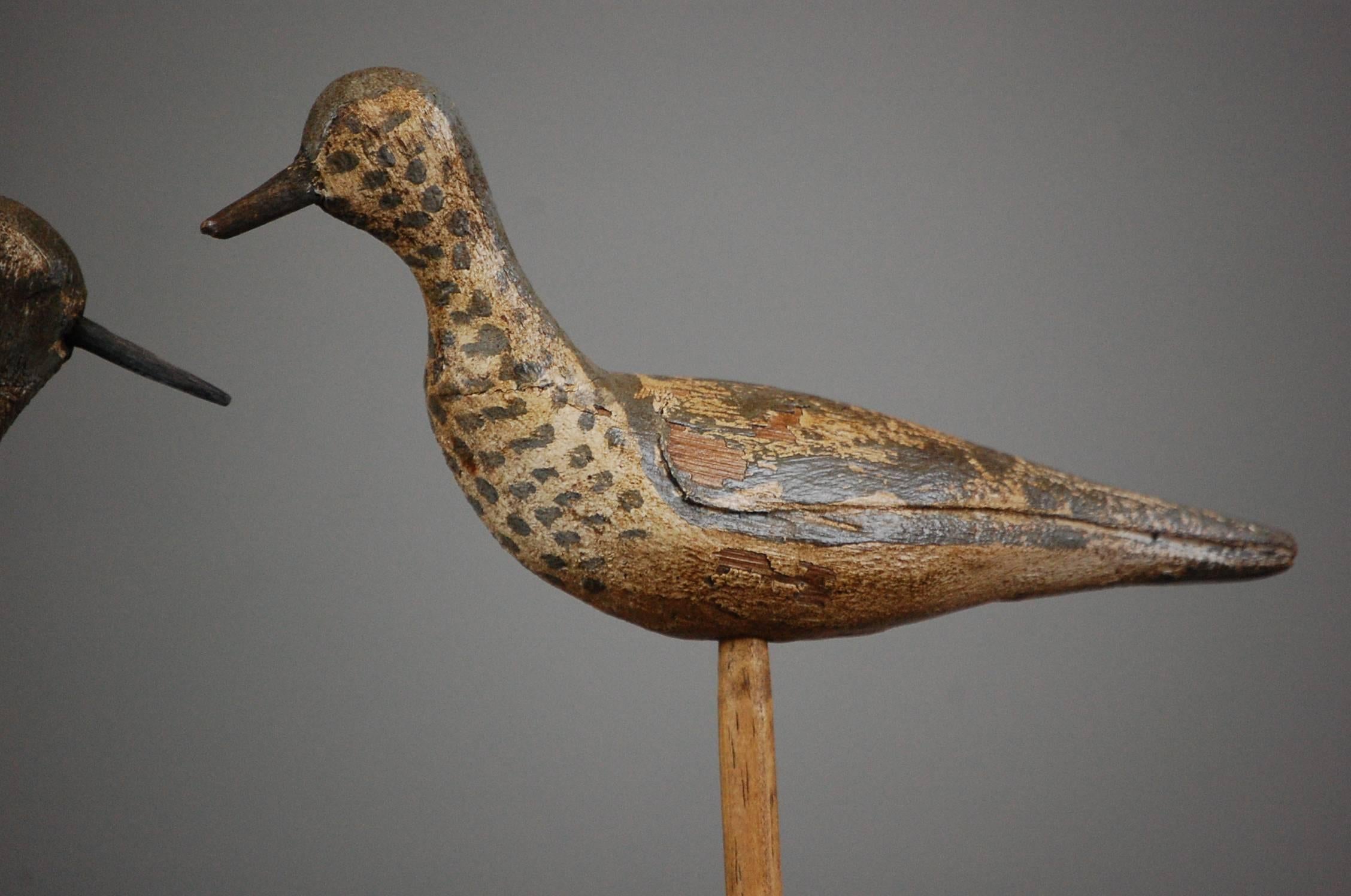 Pair of Early 20th Century Sandpiper Decoys 2