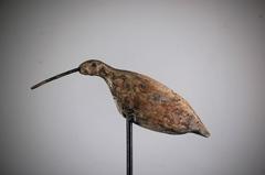 Early 20th Century Naive Jack Snipe Working Decoy