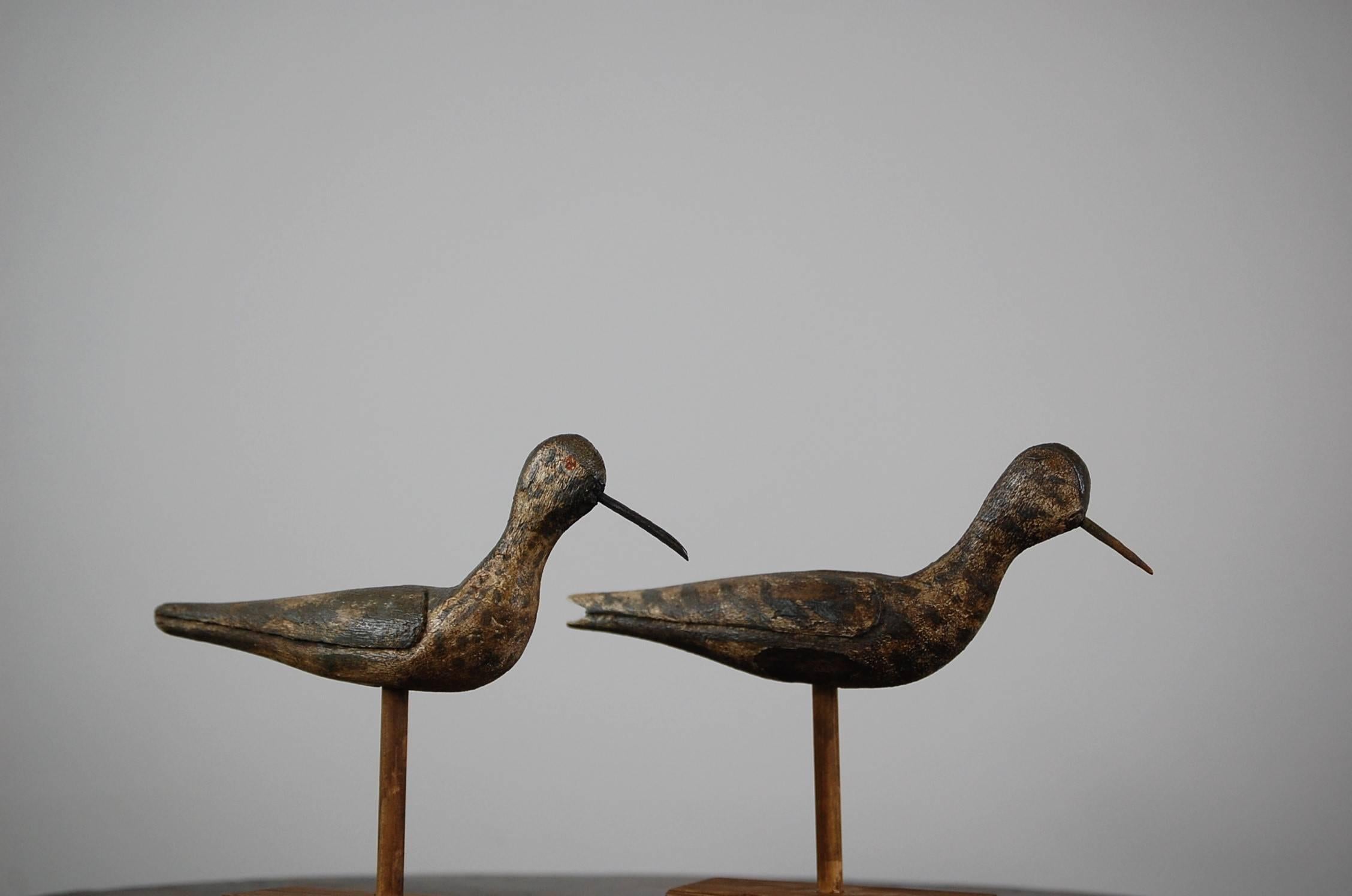 Wonderful pair of early 20th century carved wood Sandpiper decoys in original paint, originating from the Norfolk (UK) coast. Later timber stands.