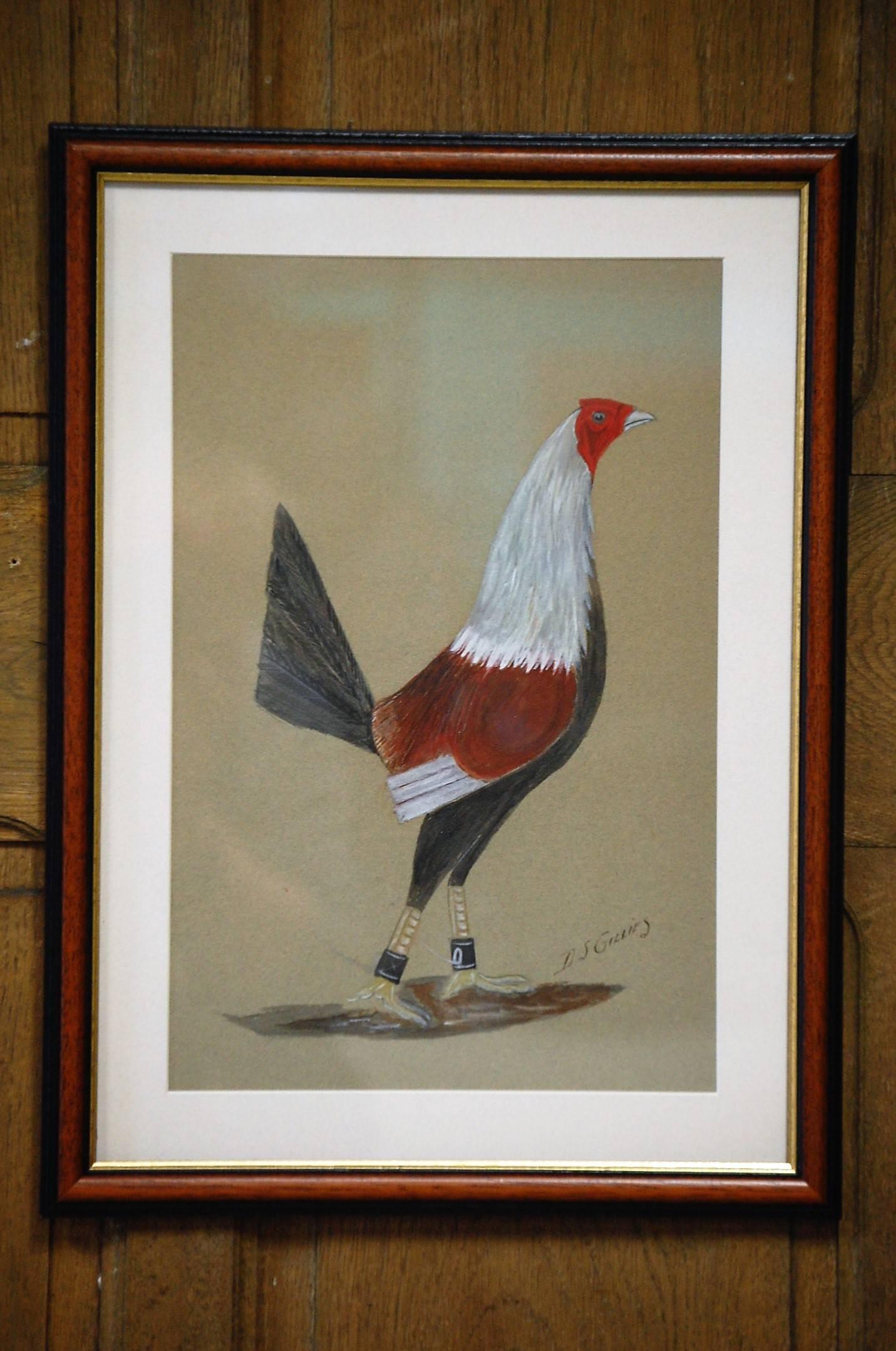 Prize Cockfighters, wonderful pair of original naïve prized Cockerels, Painted on paper Both Signed D. S. Gillies, one dated 1909. A Sport consigned to history, but a marvelous social record. Later frames. Price is for the pair.
