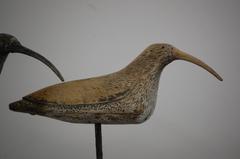 Trio of Curlew Decoys