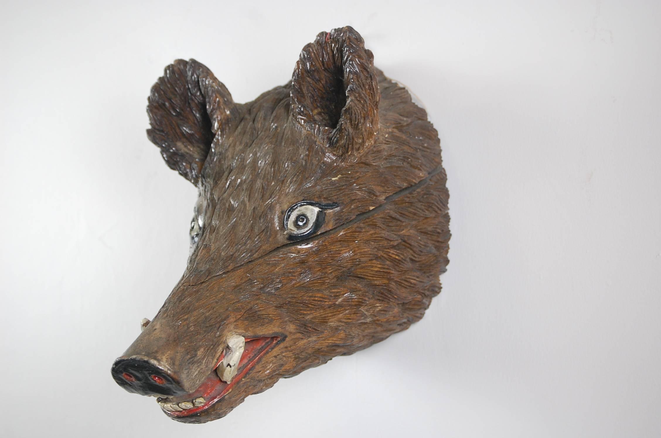 Early 20th century Black Forest carved wood trophy boar head, wonderful intricate detailed carving, original polychrome painted finish. Minor losses and drying splits.