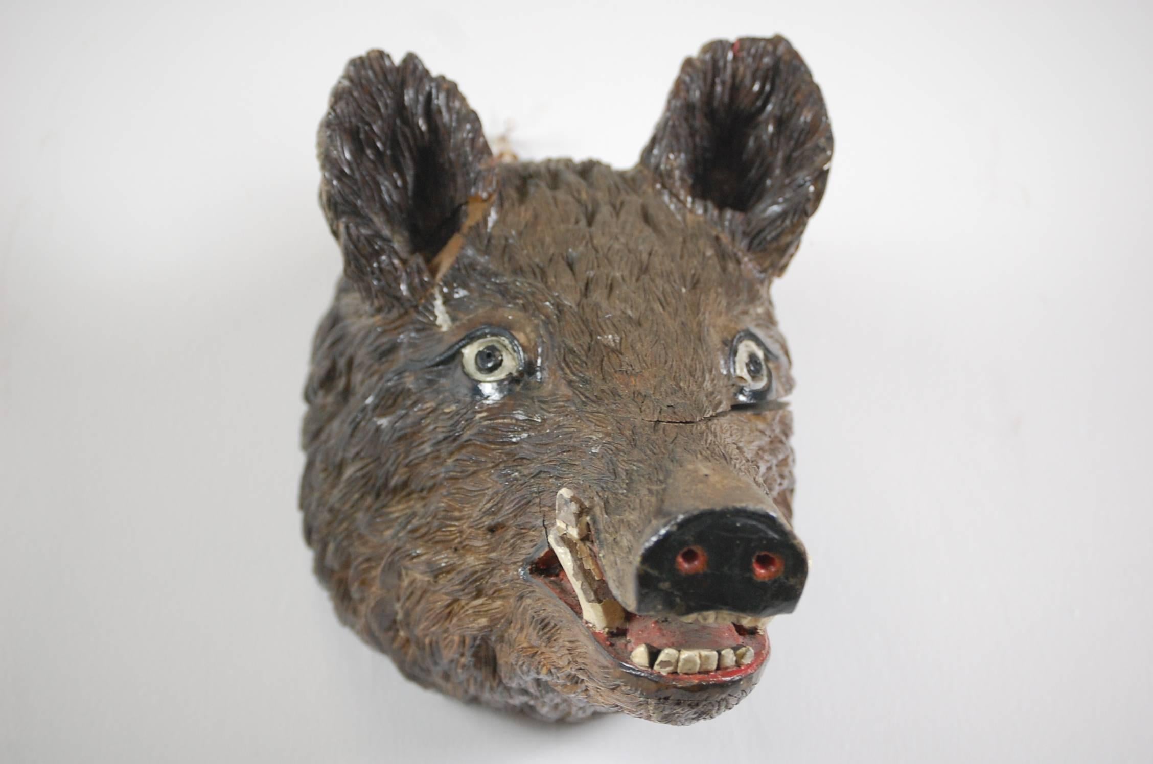 German Early 20th Century Black Forest Carved Wood Trophy Boar Head