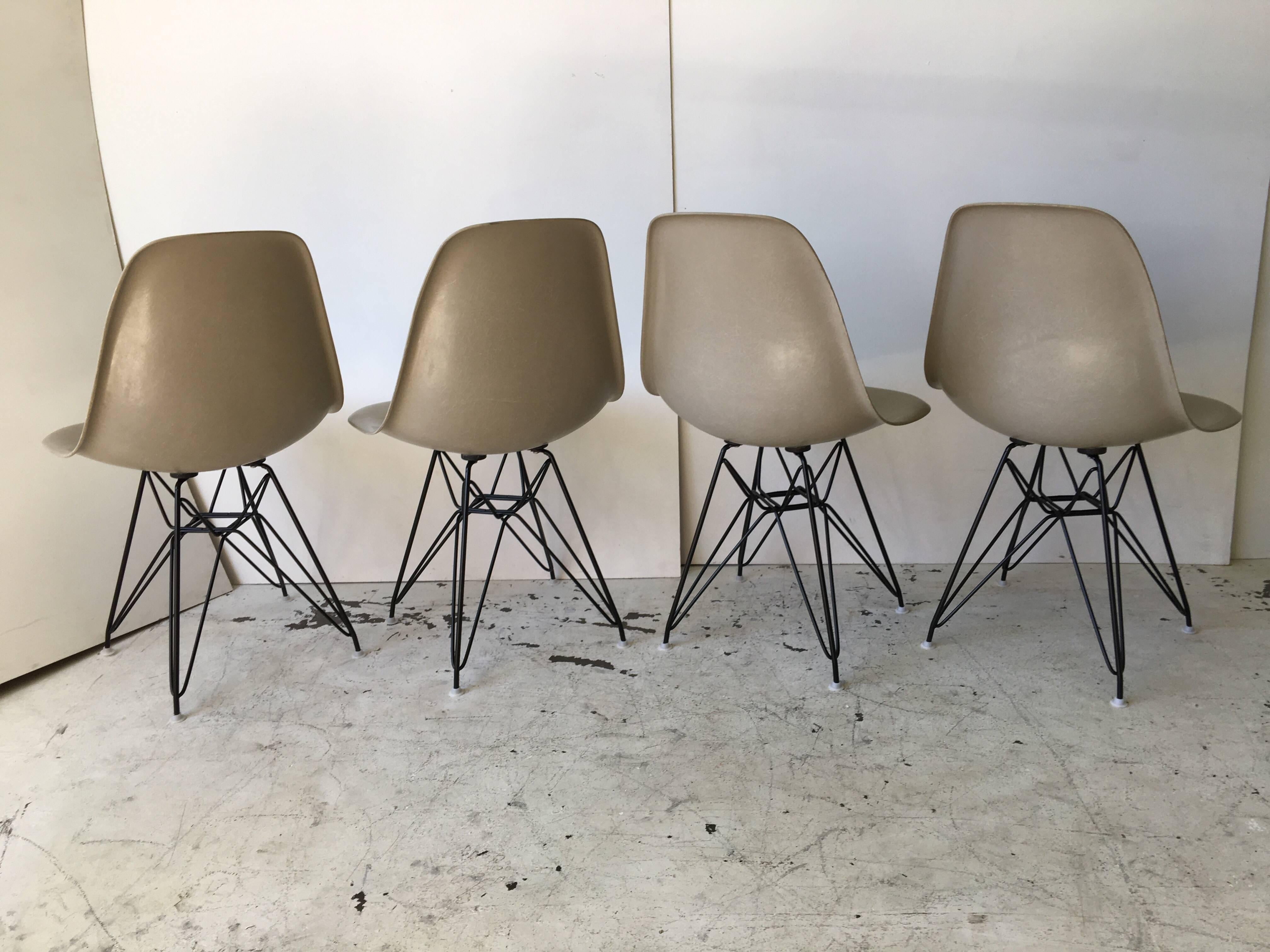 Mid-Century Modern Charles Eames Set of Grey Fiberglass Eiffel Tower Base Chairs for Herman Miller