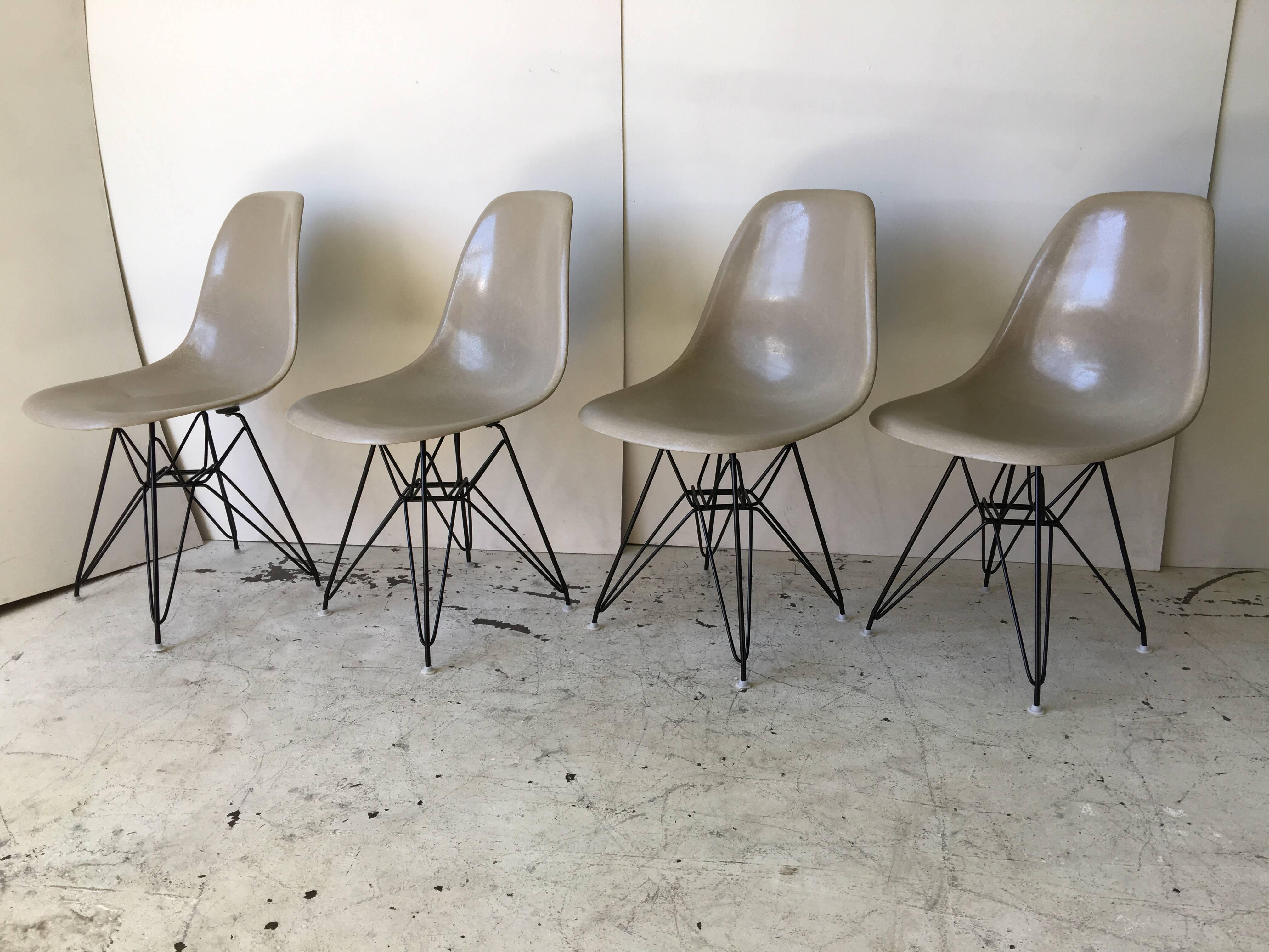 These chairs date to the late 1950s. They retain partial paper Herman Miller labels, but no markings to plastic, thus 1950s. They are grey in color, perfect for many of the modern homes of today. They are on newer Eiffel tower bases.