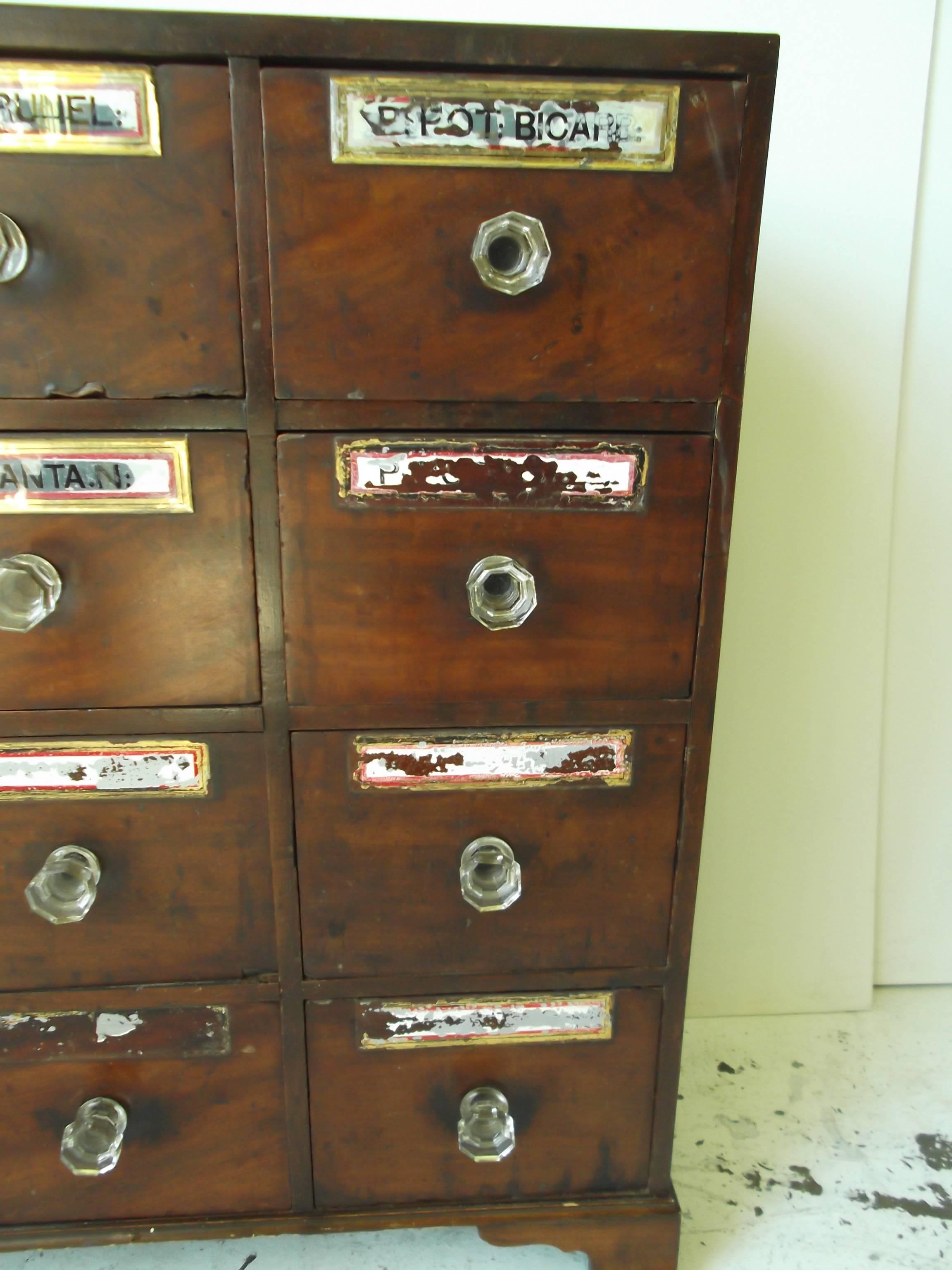 antique apothecary chest